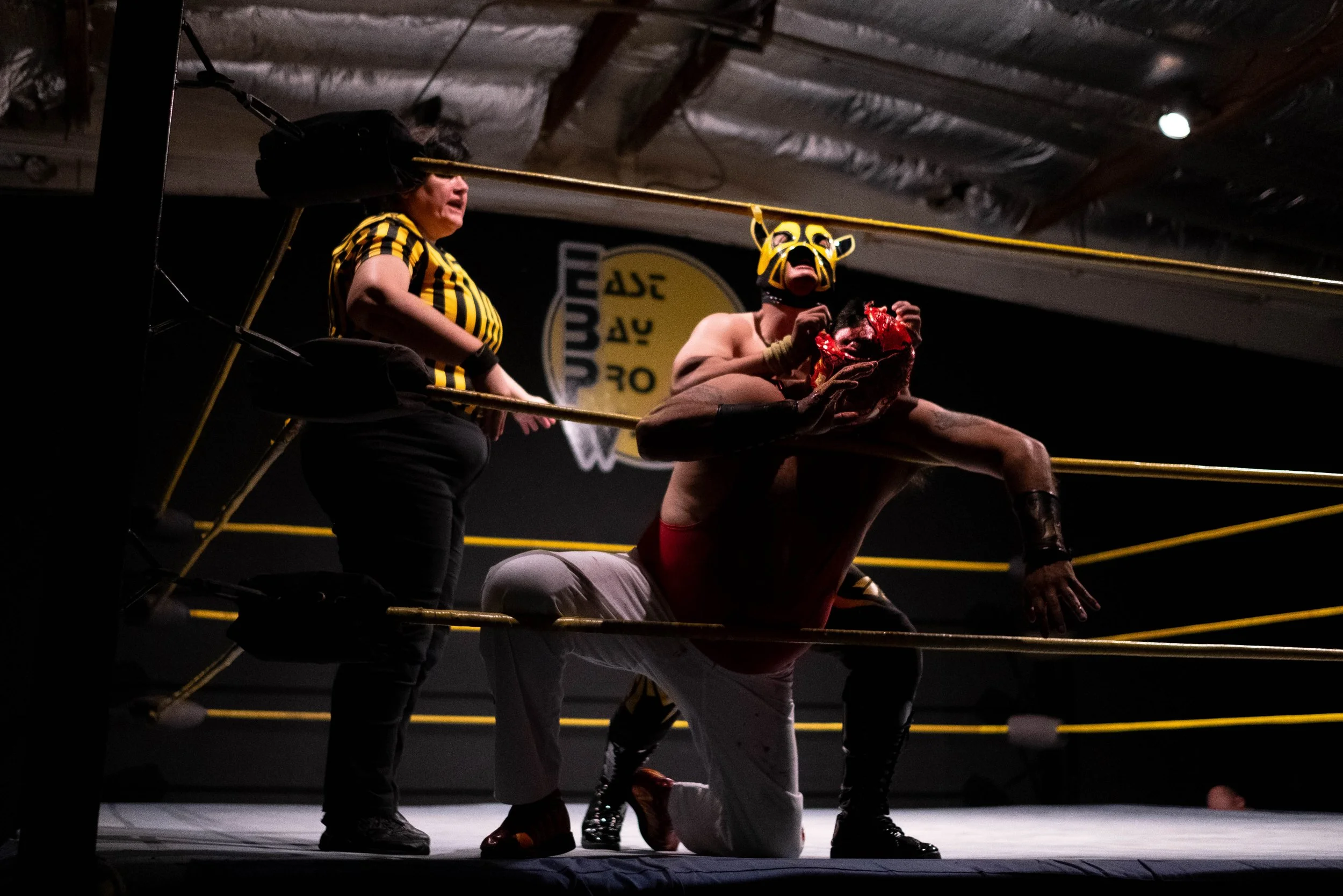 Leon Vs Chicano.jpg