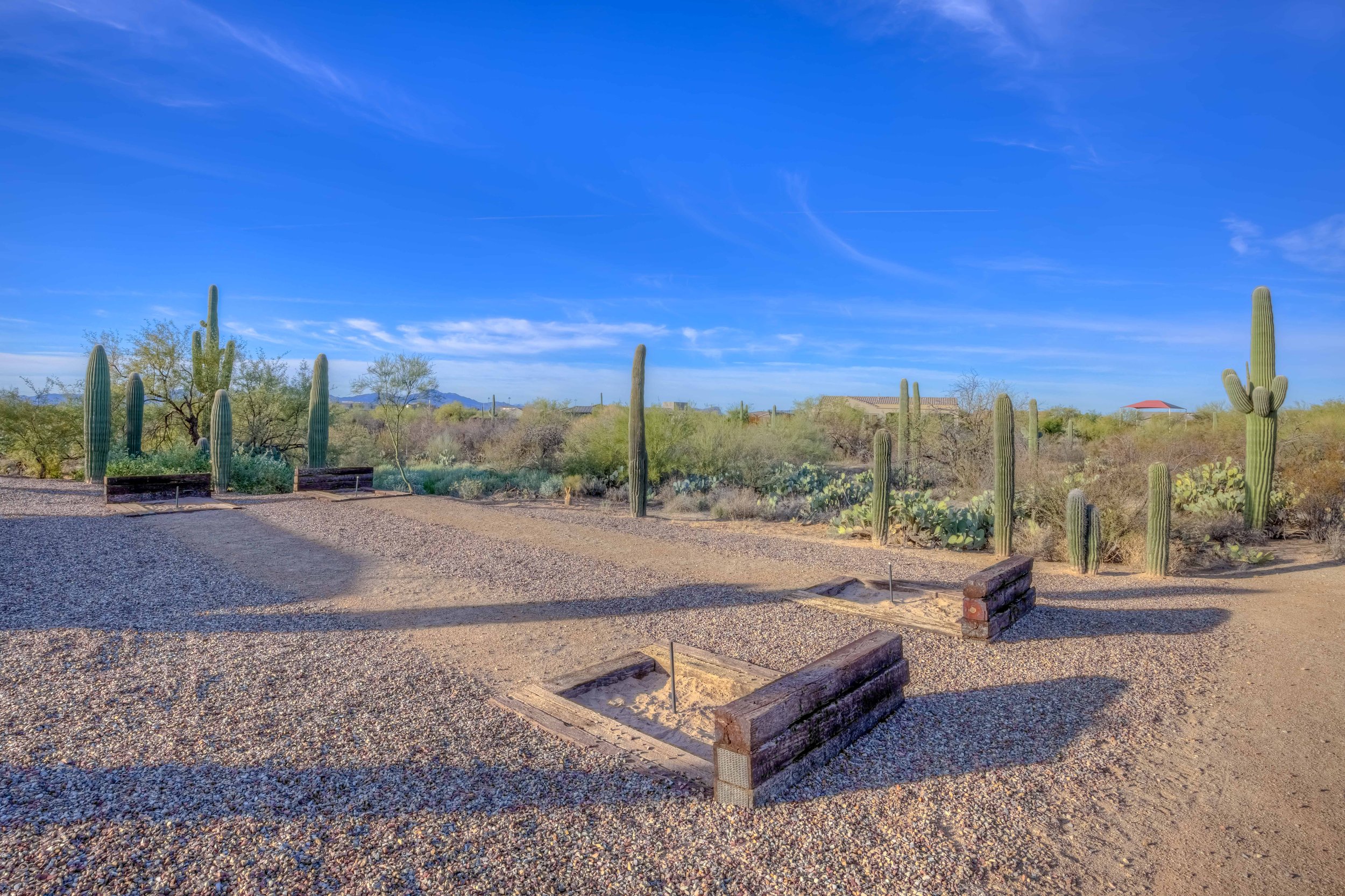 40 Saguaro Viejos Park photo b.jpg