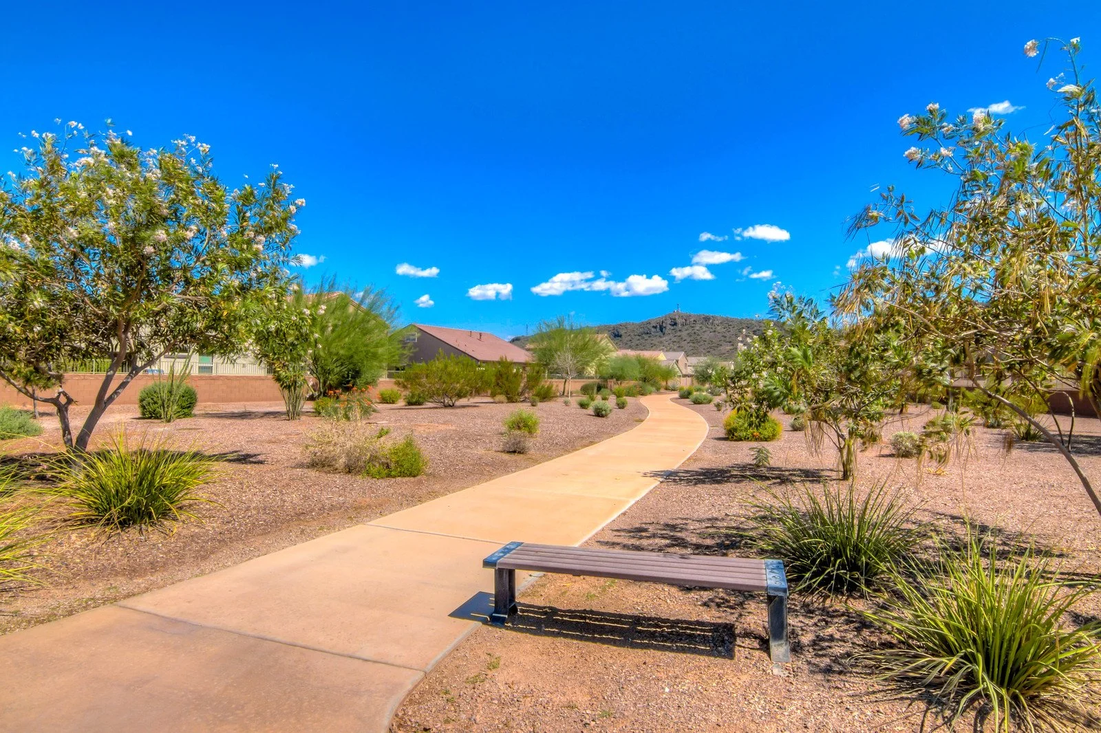 39 Community Park photo c.jpg