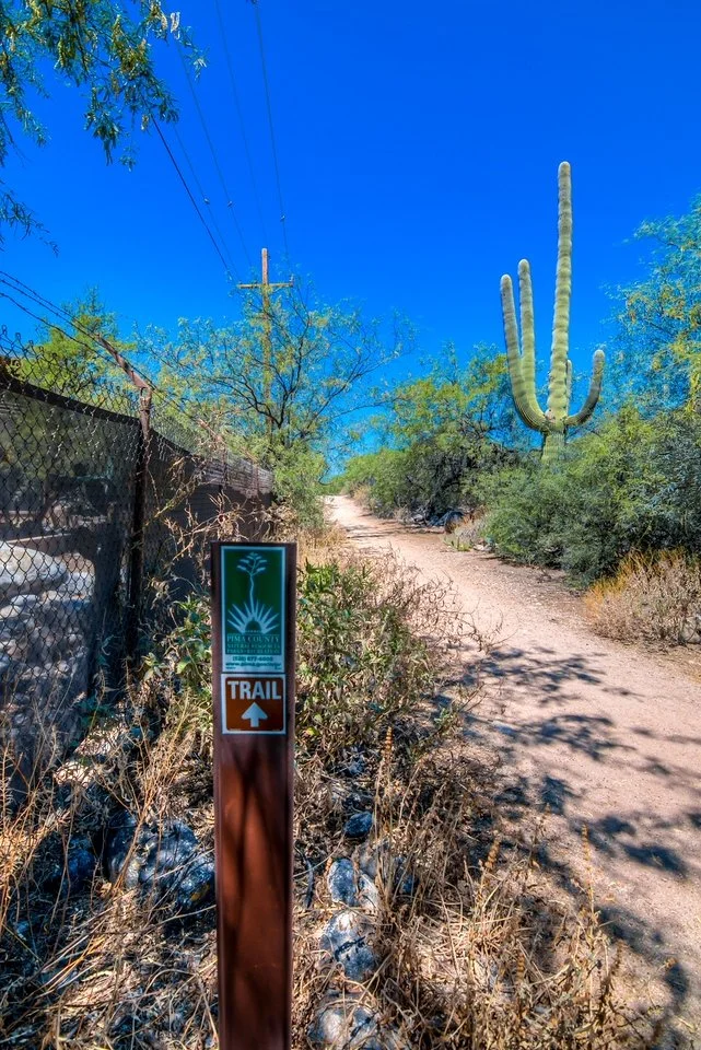 42 Hiking Trail.jpg