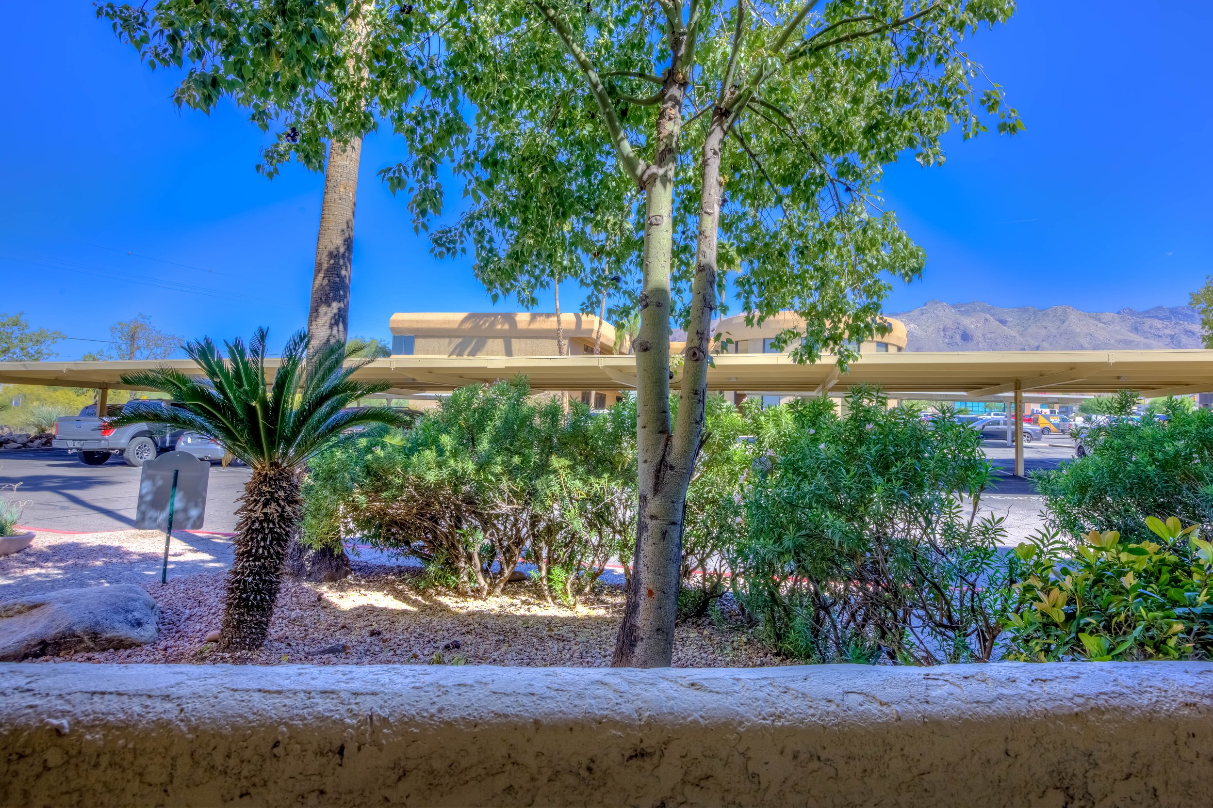 30 Patio photo b.jpg