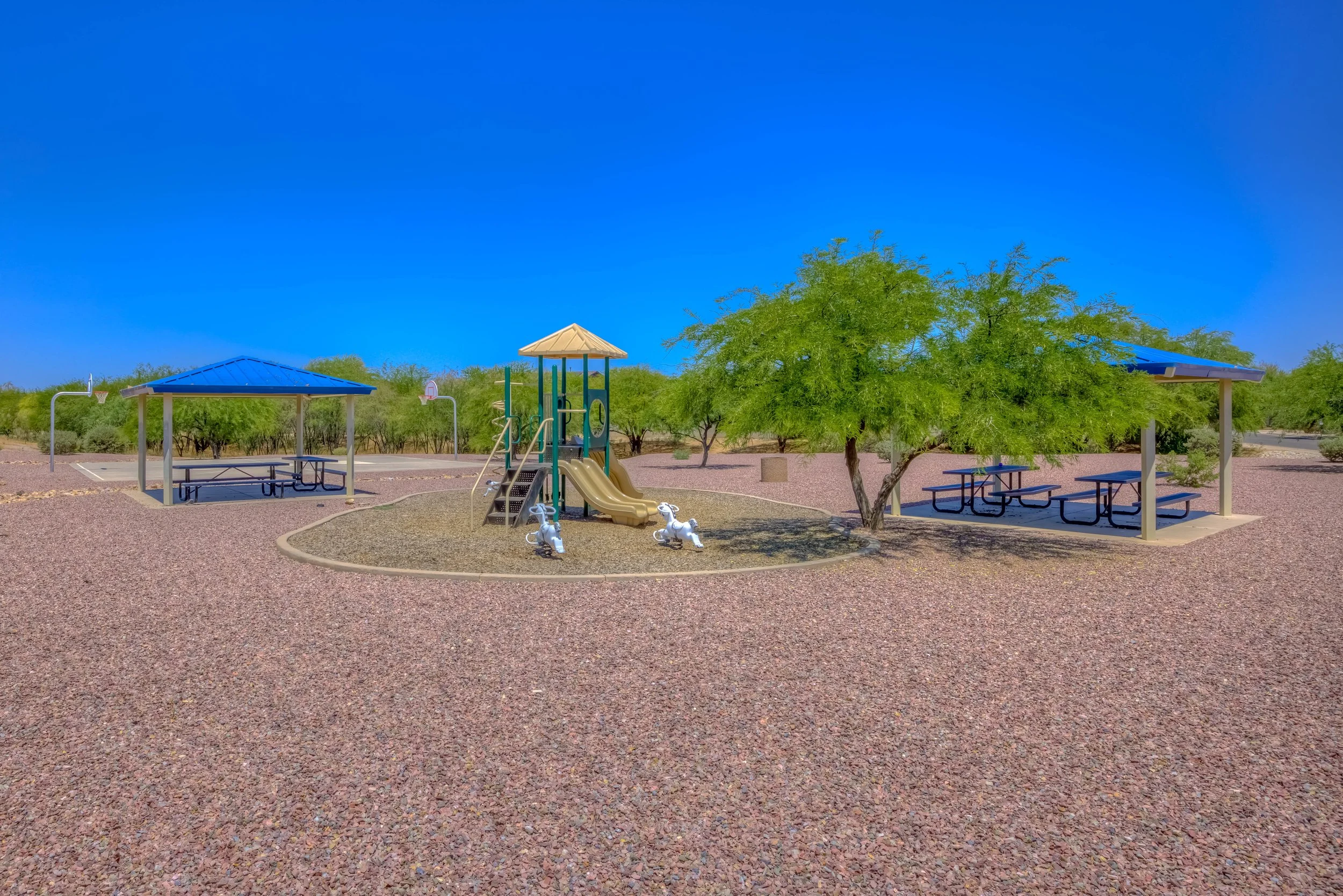36 Julian Ranch Park (Egret) photo a.jpg