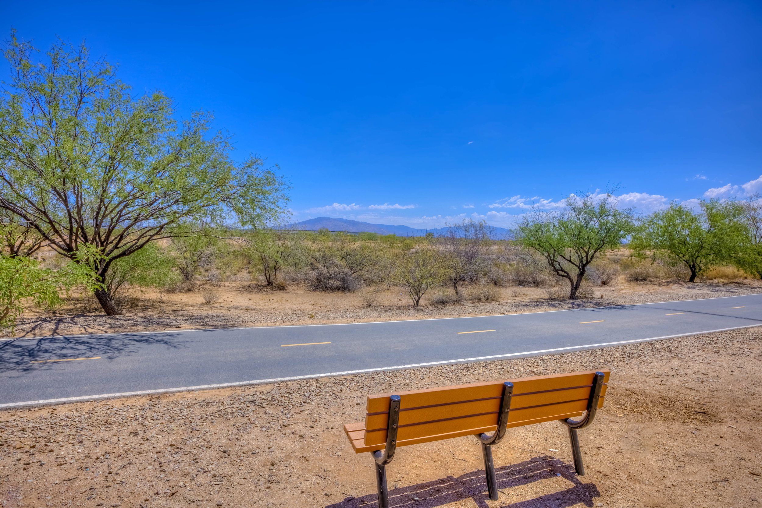 38 Walking:Running:Cycling Path photo a.jpg