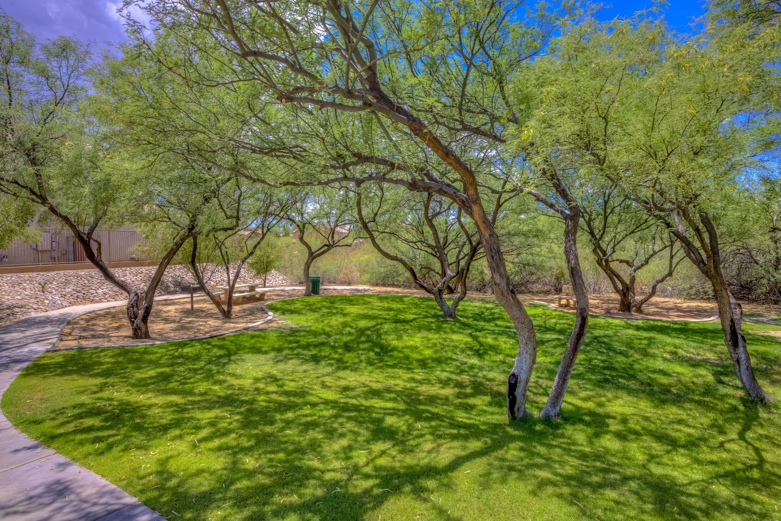 39 Neighborhood Park.jpg