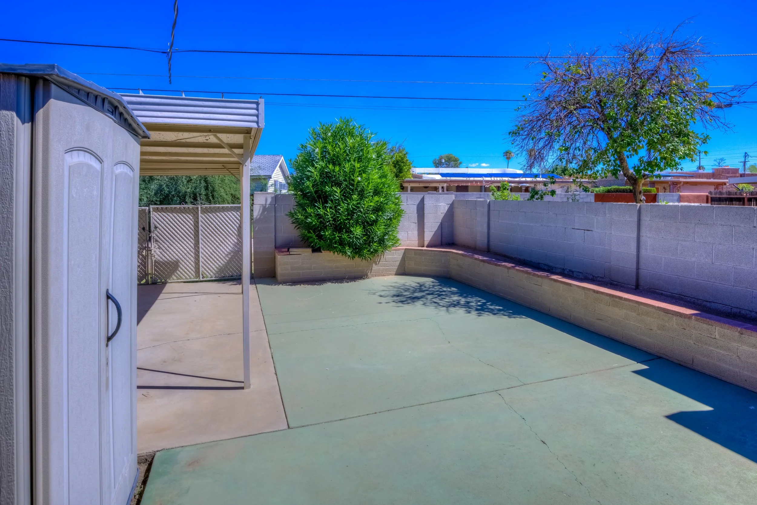 24 Back photo e.jpg