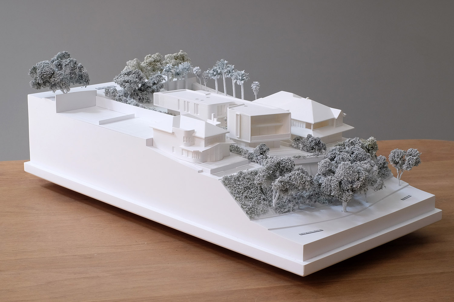 Woollahra Council DA Model