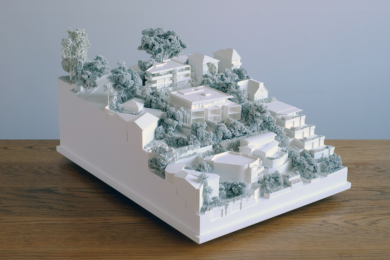 Woollahra Council DA Model