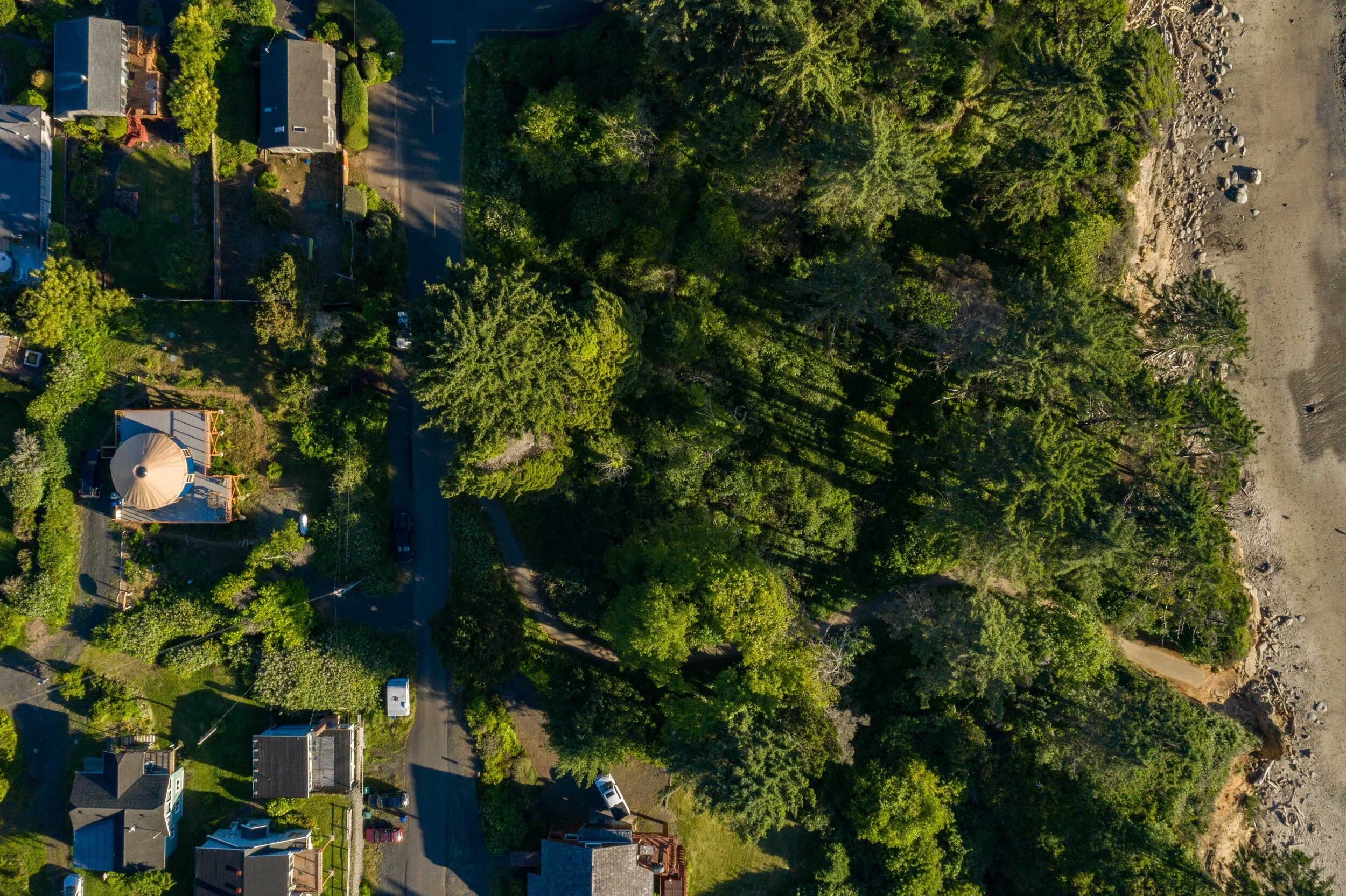 DJI_0082.jpg