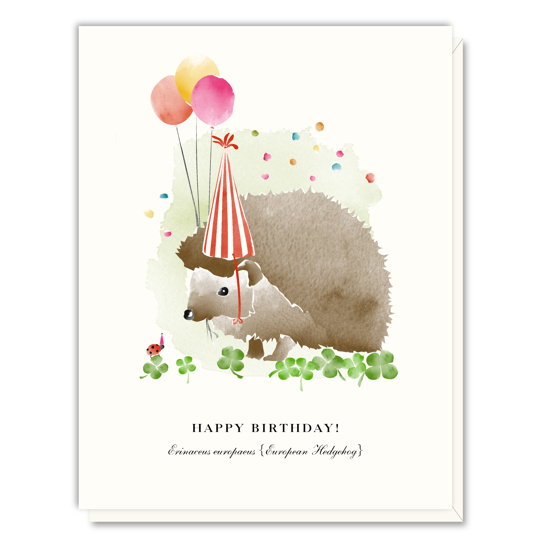 HAPPY BIRTHDAY Greeting Card Birthday Blank Inside Sheep 