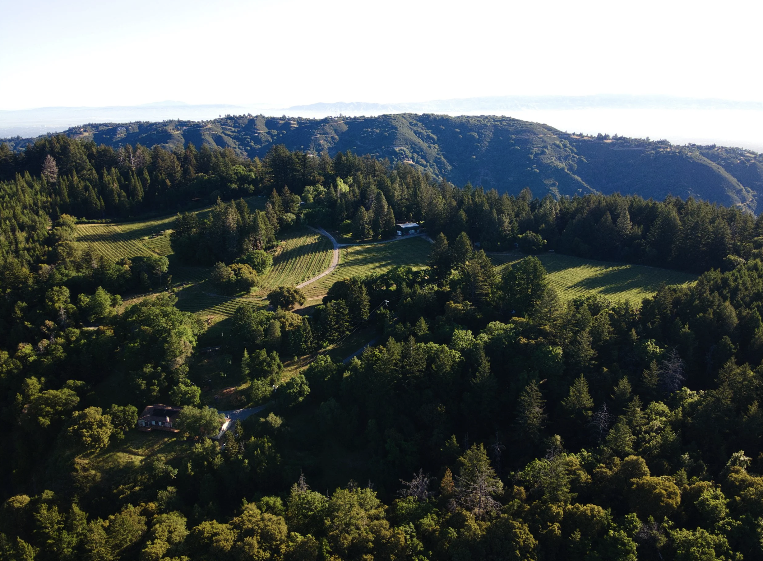 Screenshot 2026-01-09 at 8.30.47 PM.png