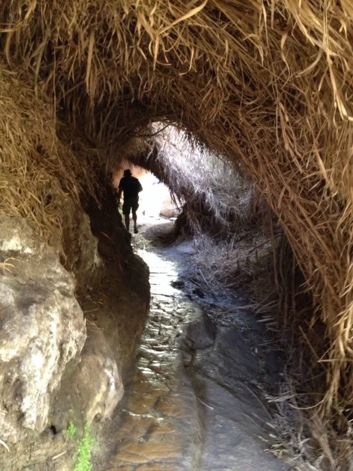 God’s Will and God’s Way