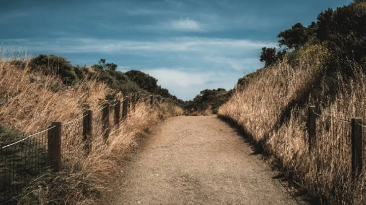 The Least and the Lost