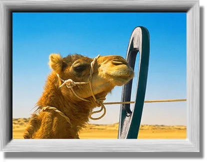 Threading the Needle