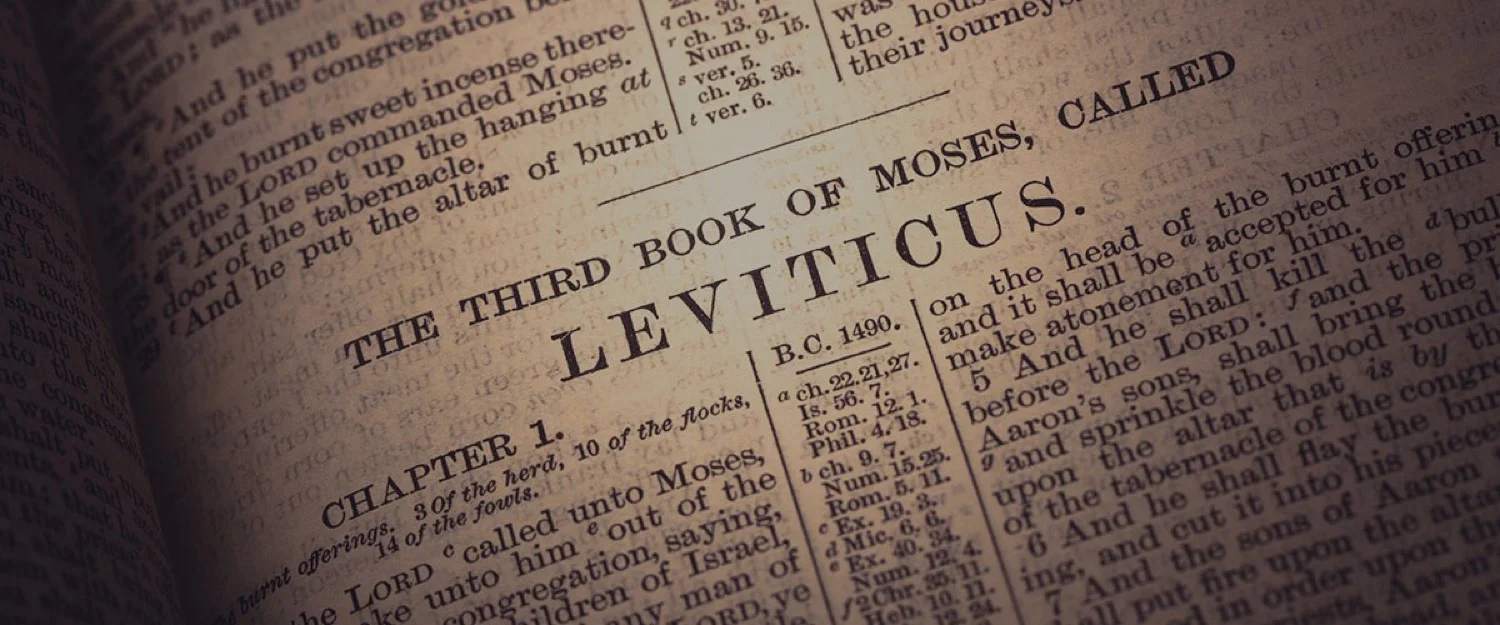 How to Read Leviticus