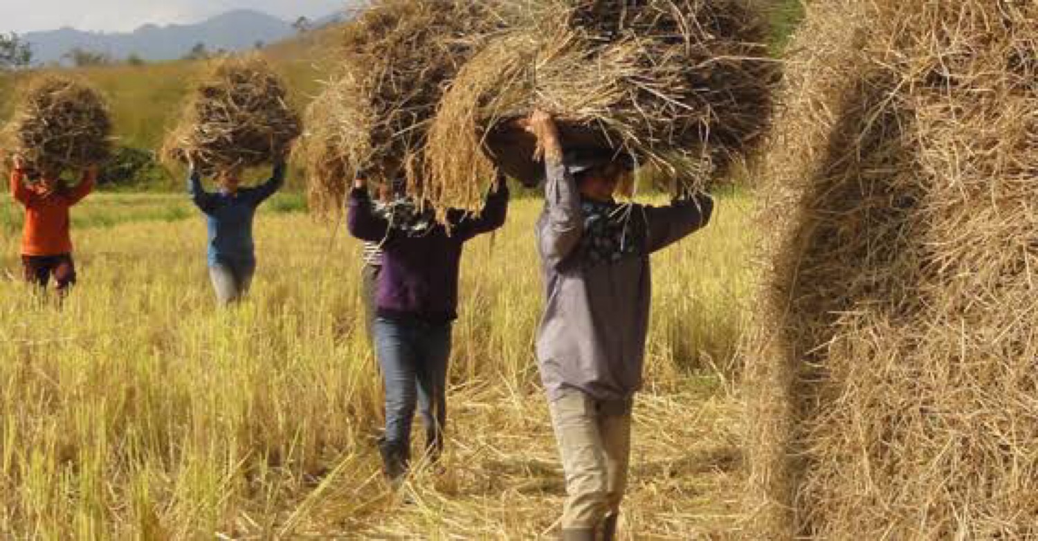 The Plentiful Harvest