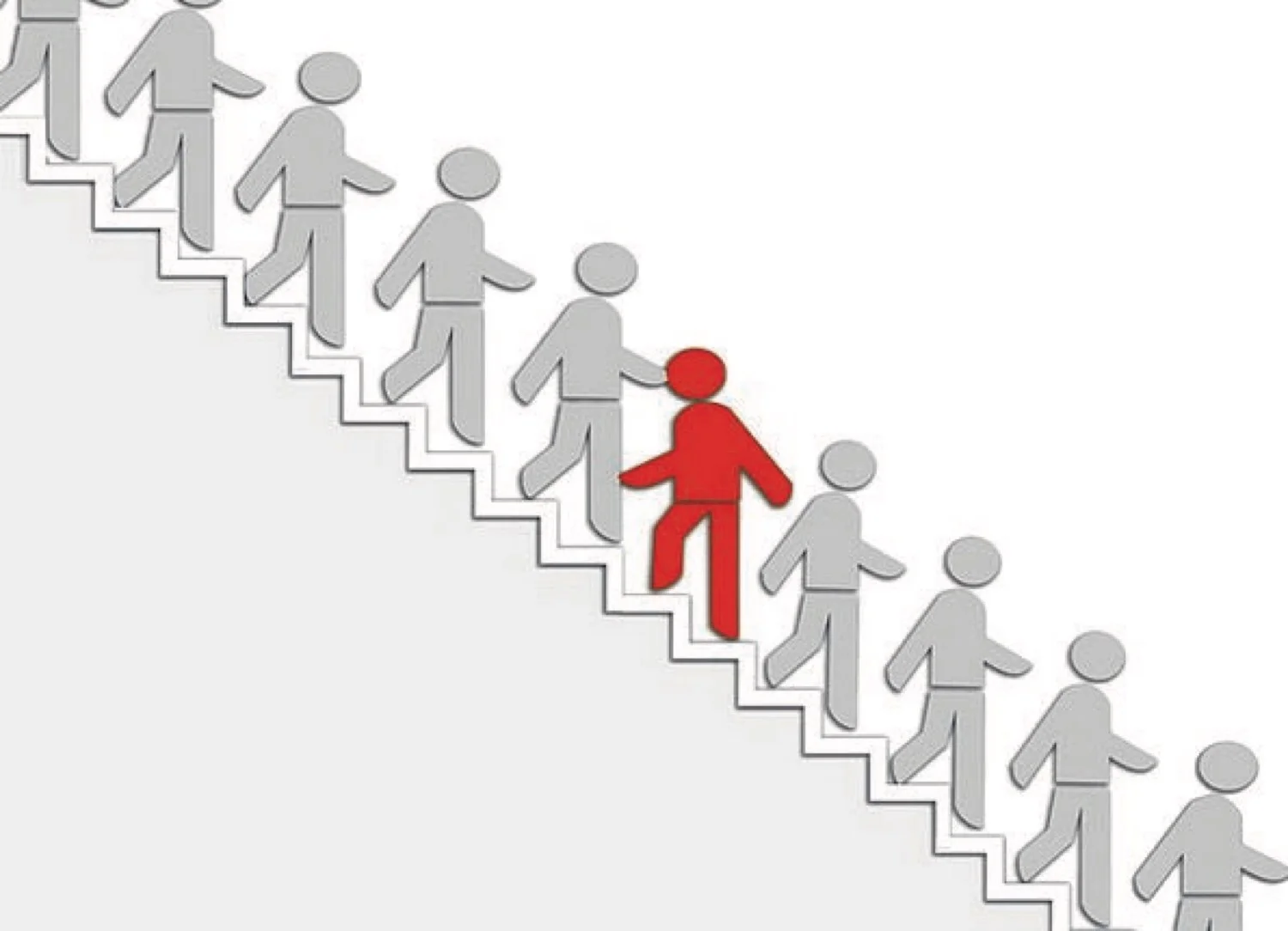 Conform vs. Transform