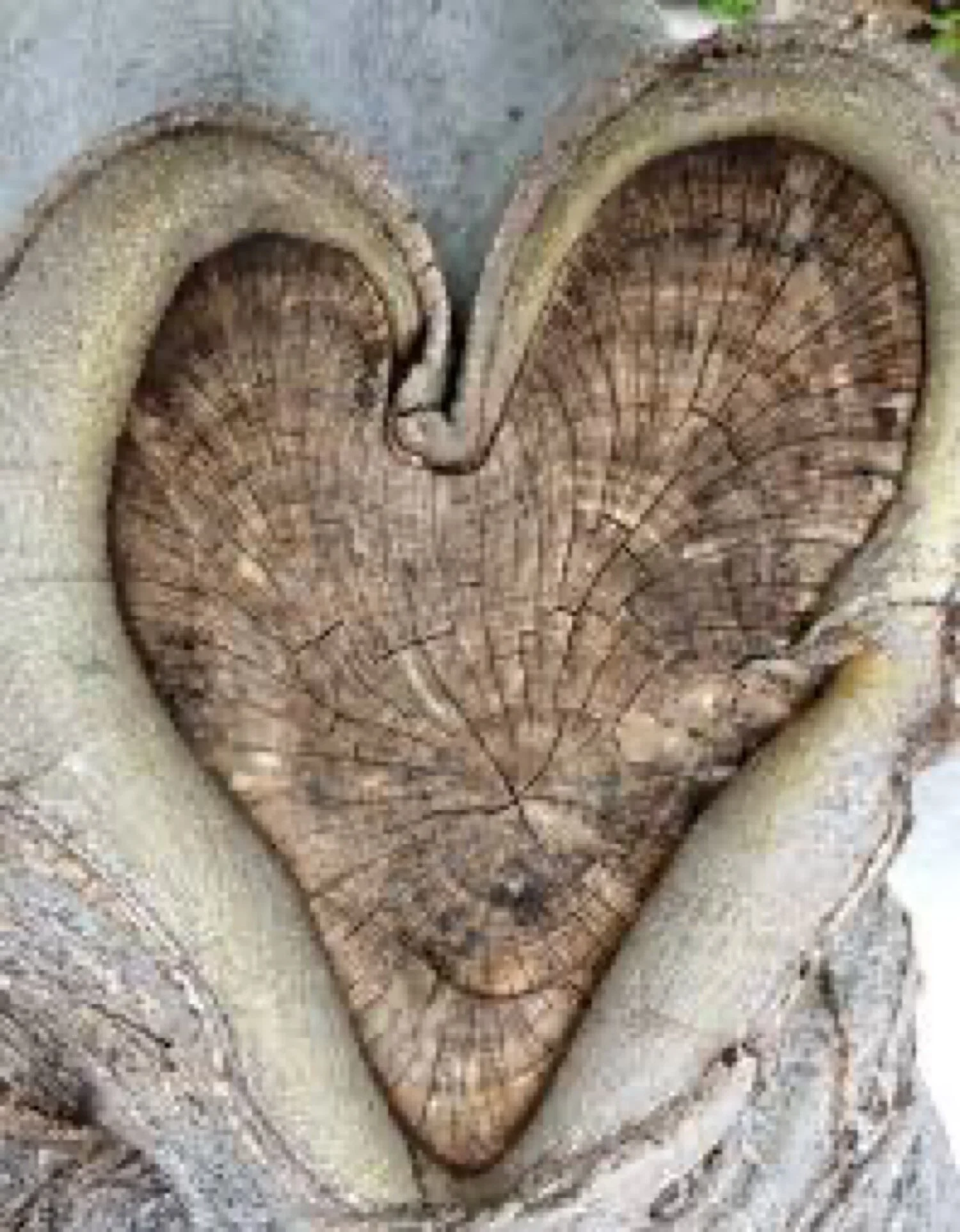 More than We can Handle?