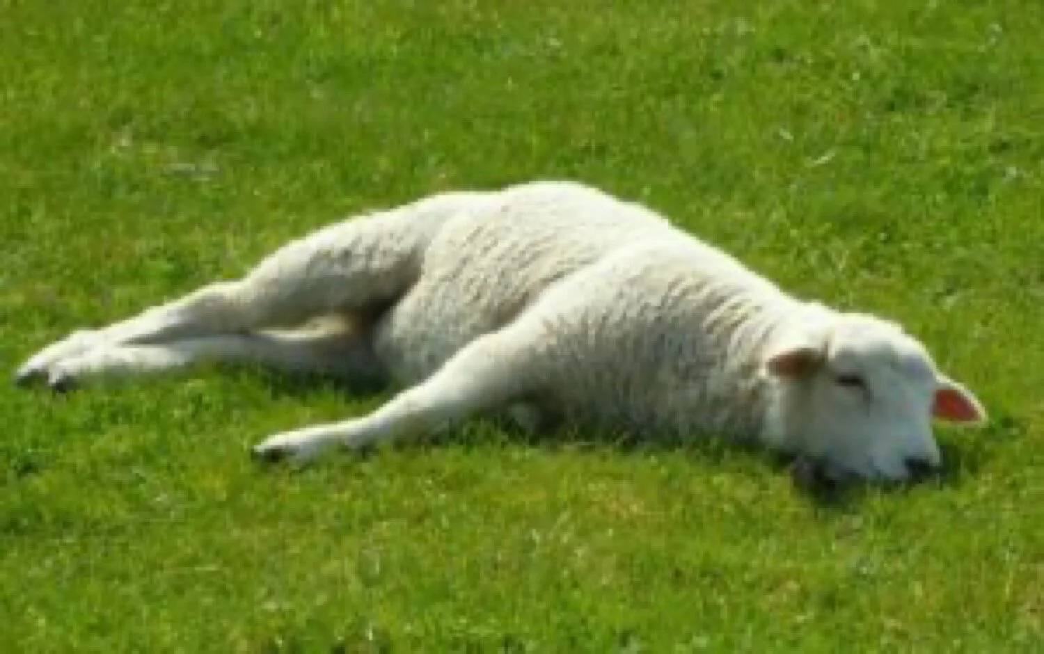 Resting in God’s Promise