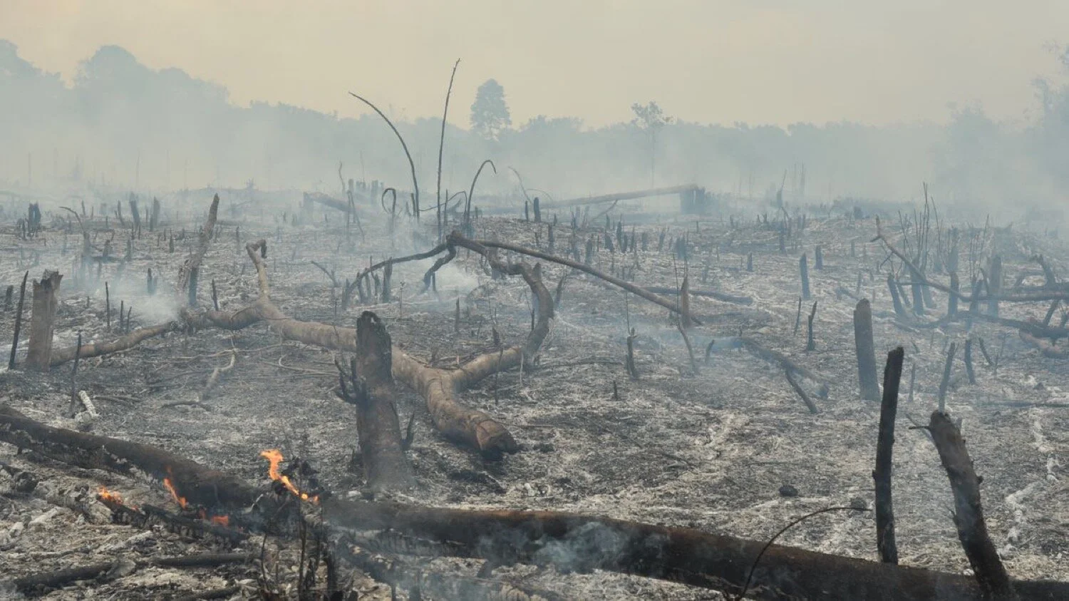 Apocalypse Now