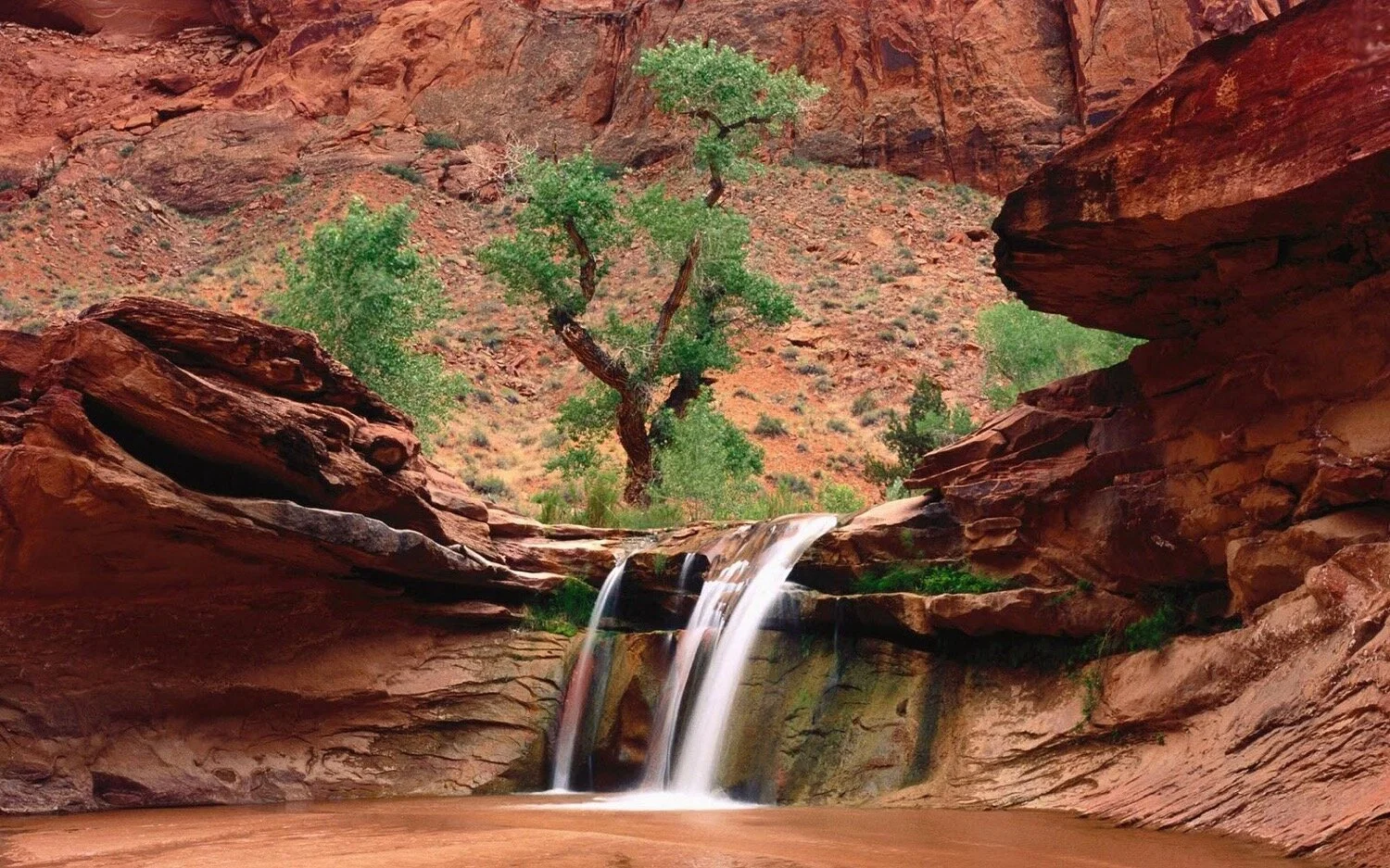 Streams in the Desert