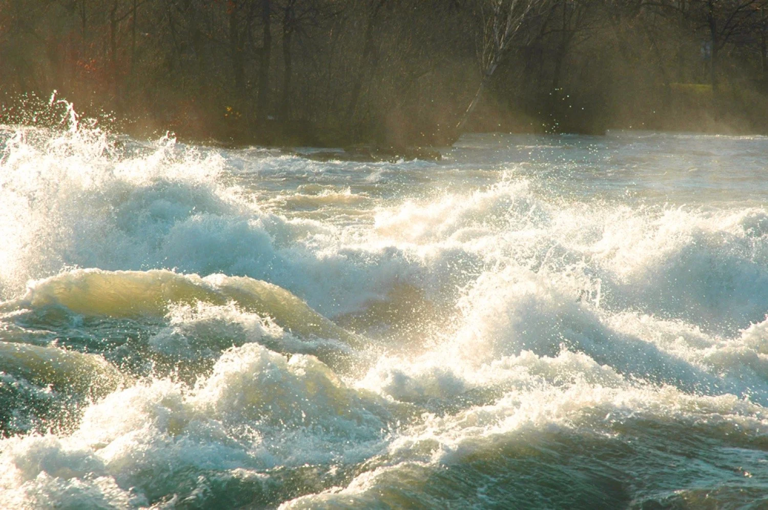 Let Justice Roll Down