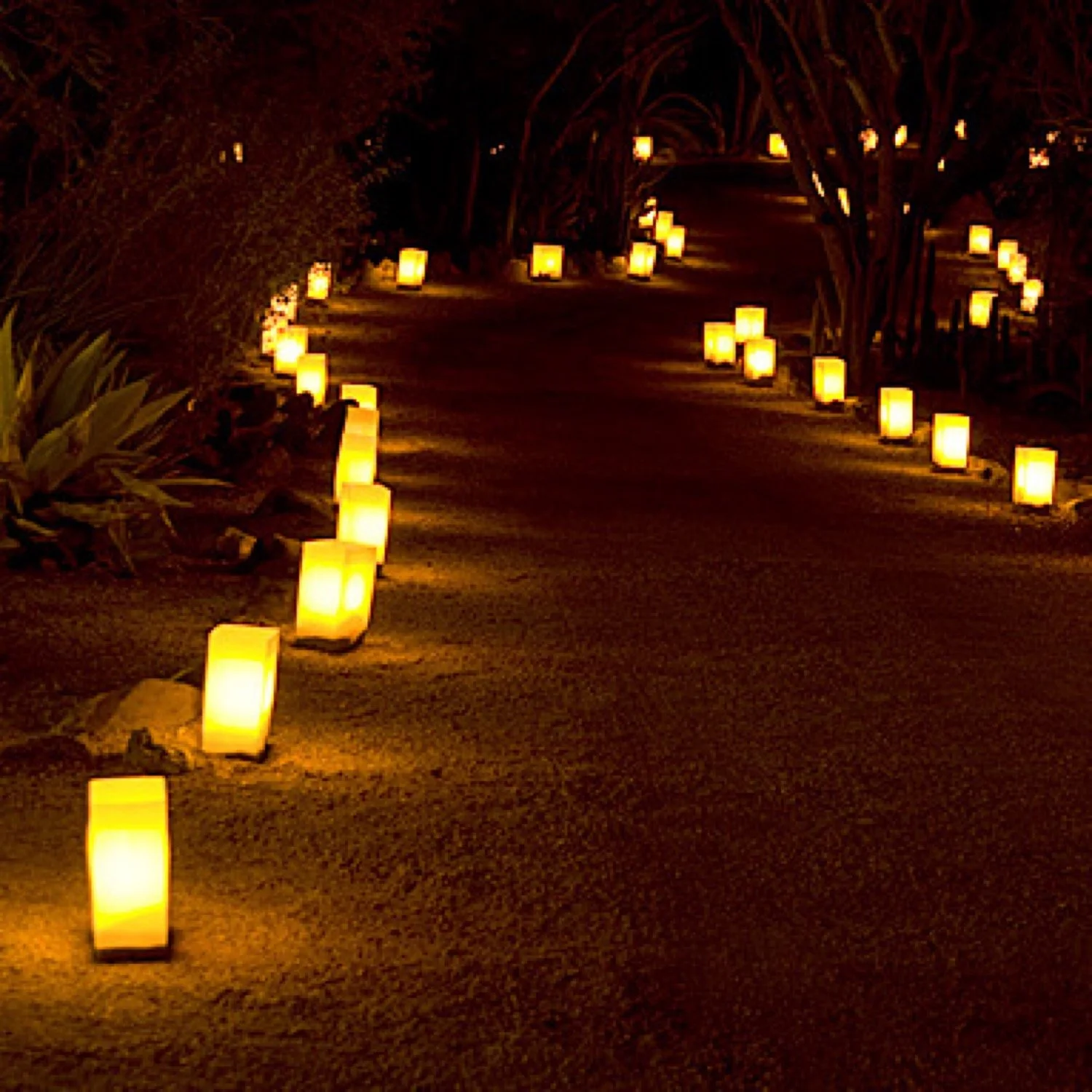 Walk in the Light
