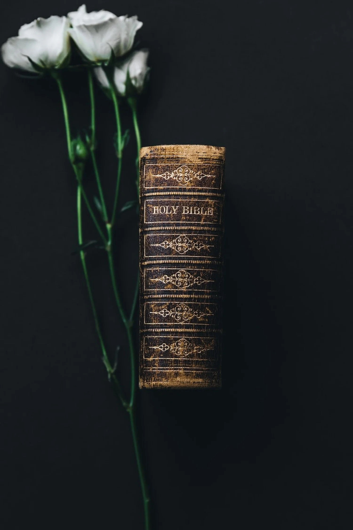 The Beauty of God’s Law