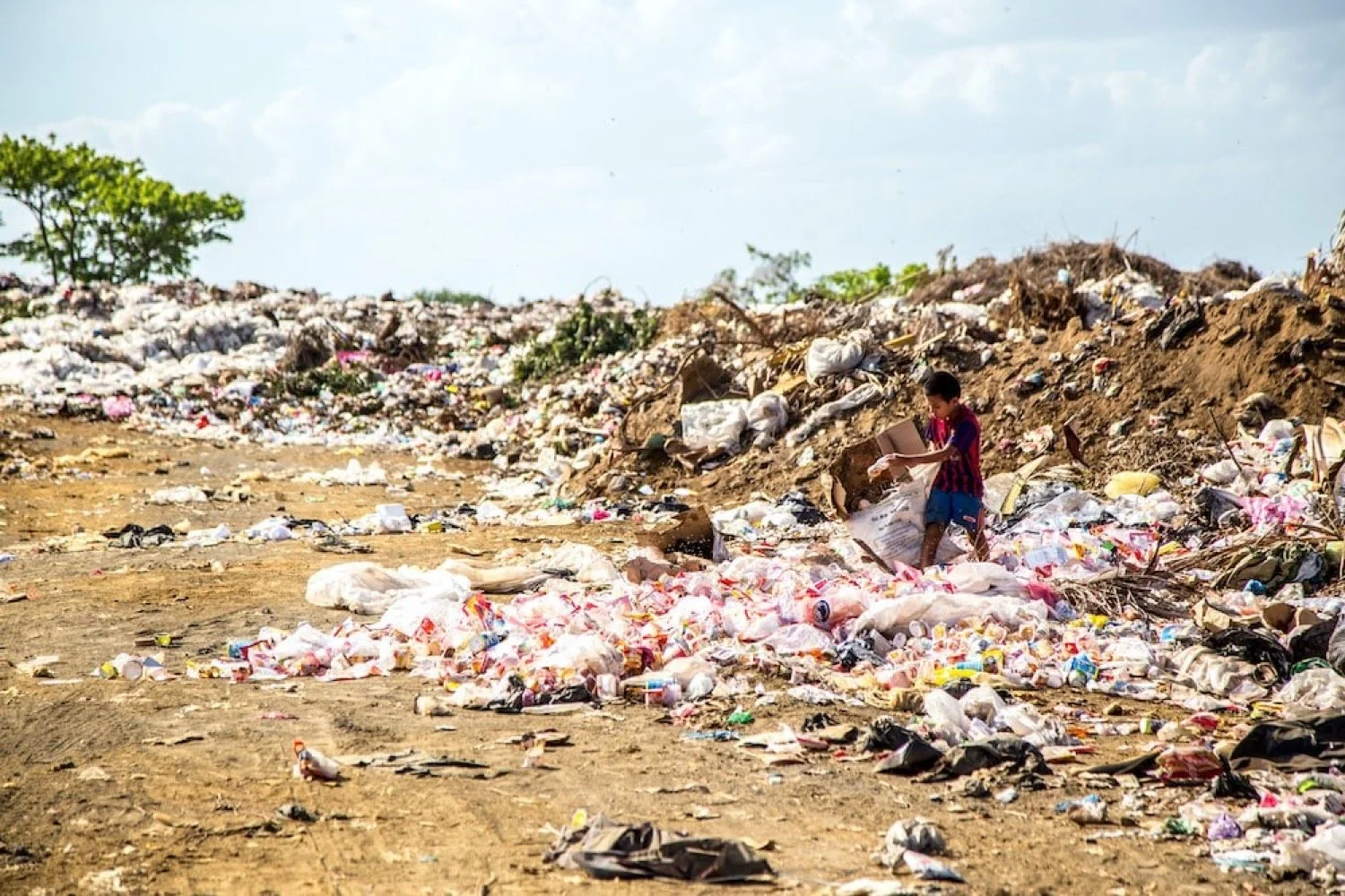 The End of Poverty