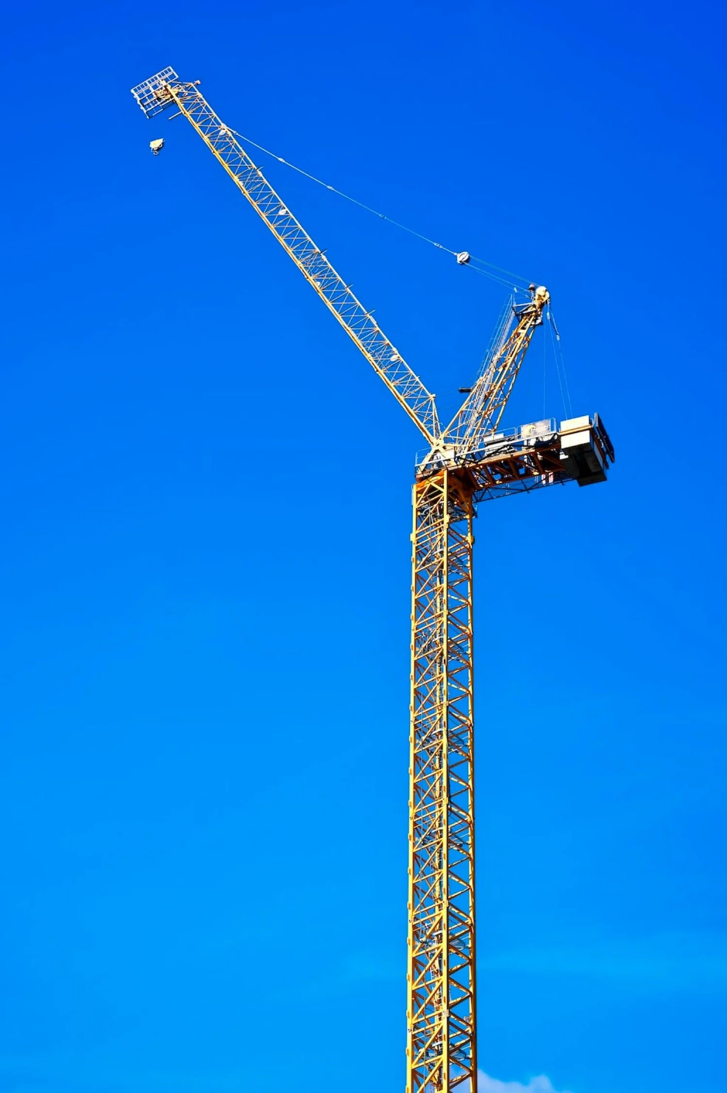 Integrity of the Godly Life