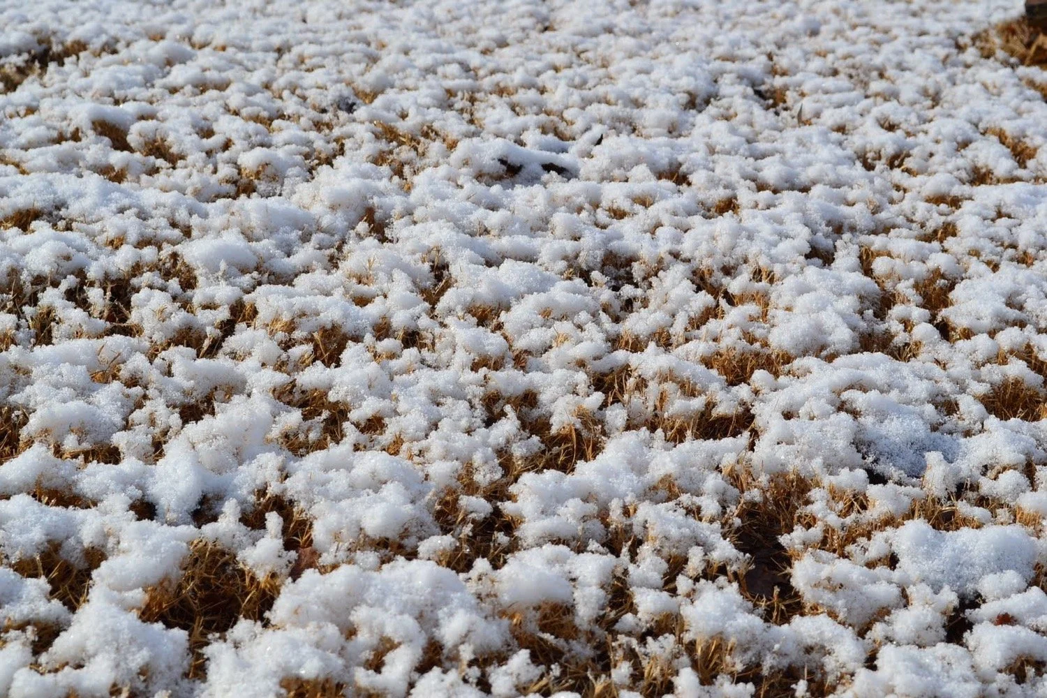 Taking God for Granted