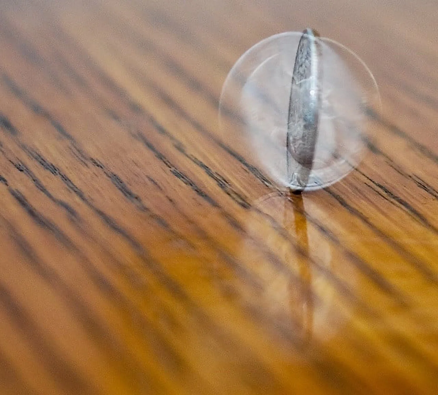 The Purpose of the Law