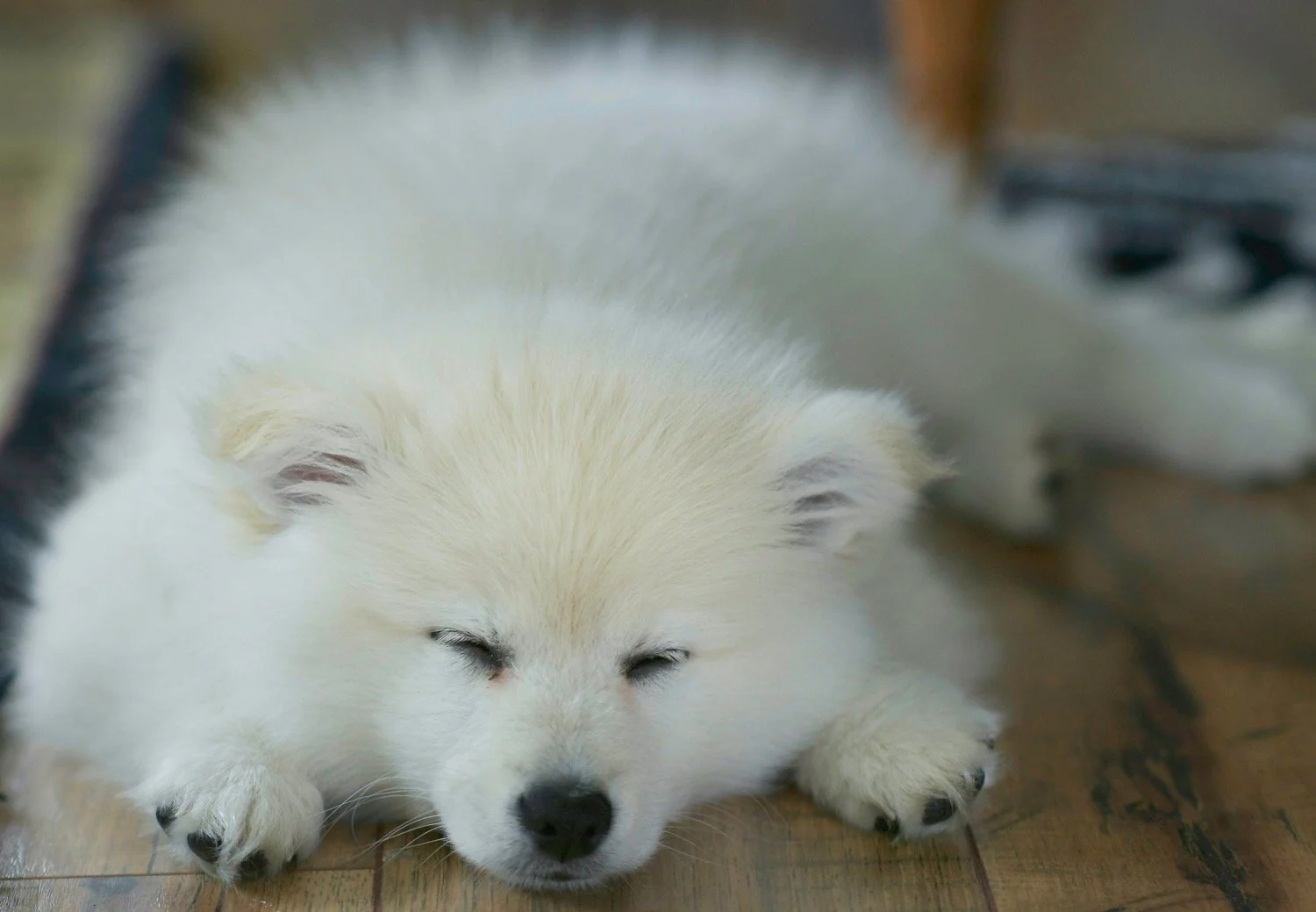 The Importance of Rest