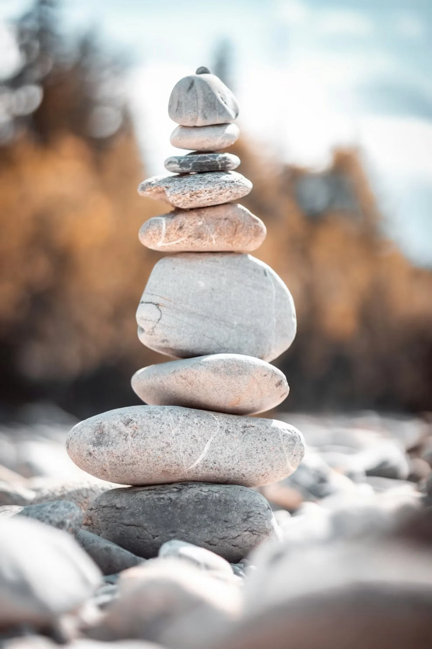 Why it Matters - Trust