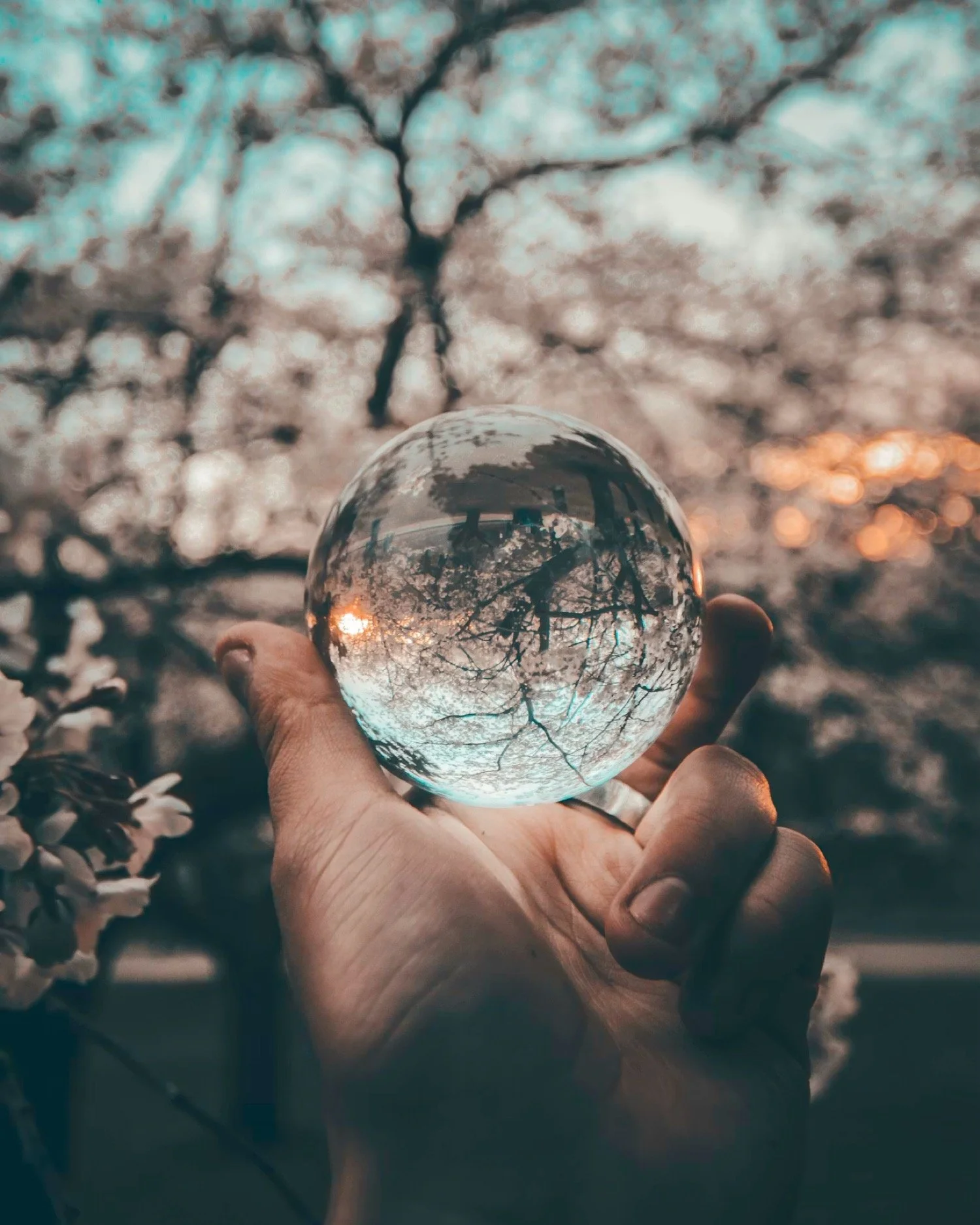 Why it Matters - Reflection
