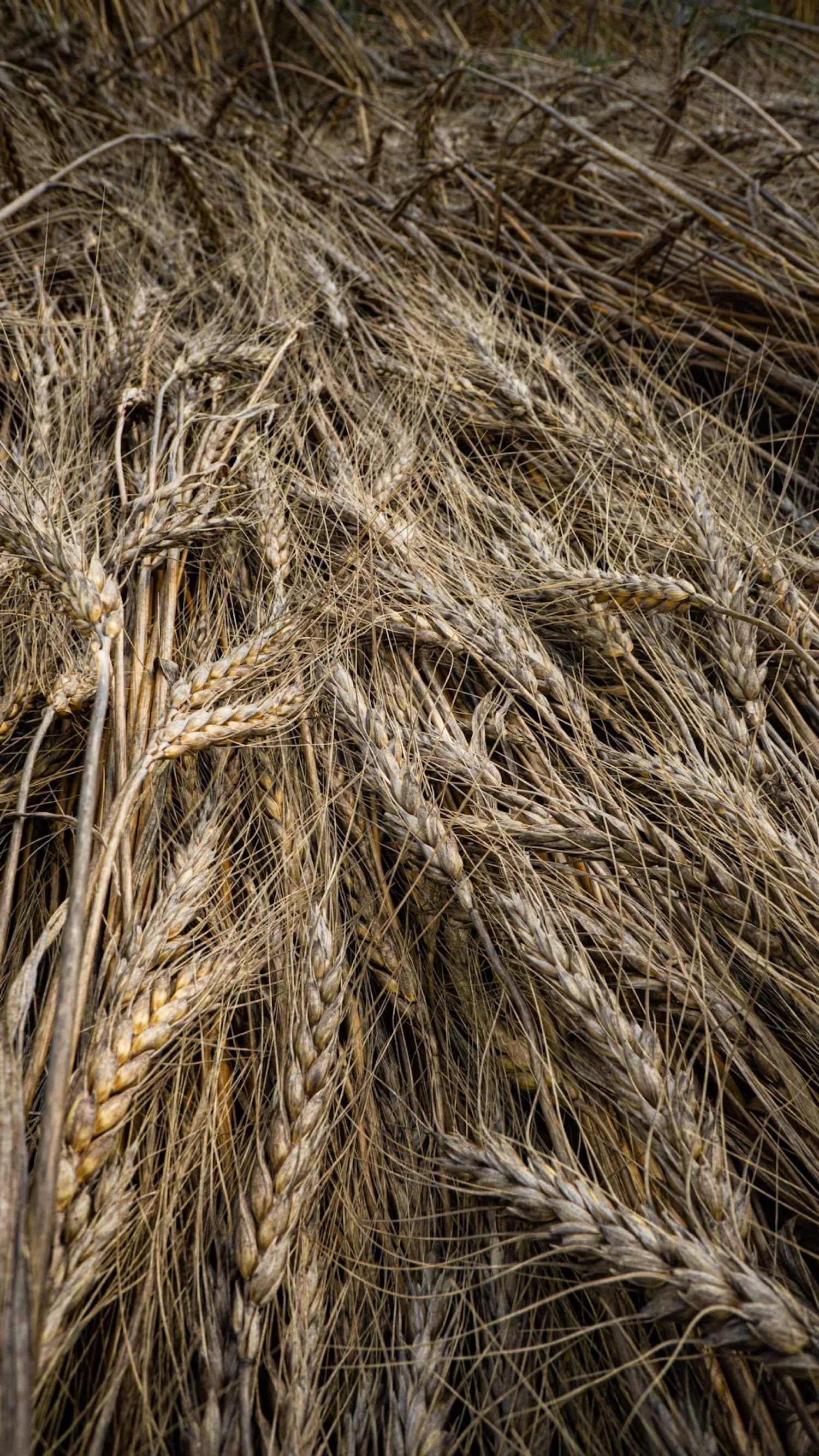 Why it Matters - You Reap What You Sow