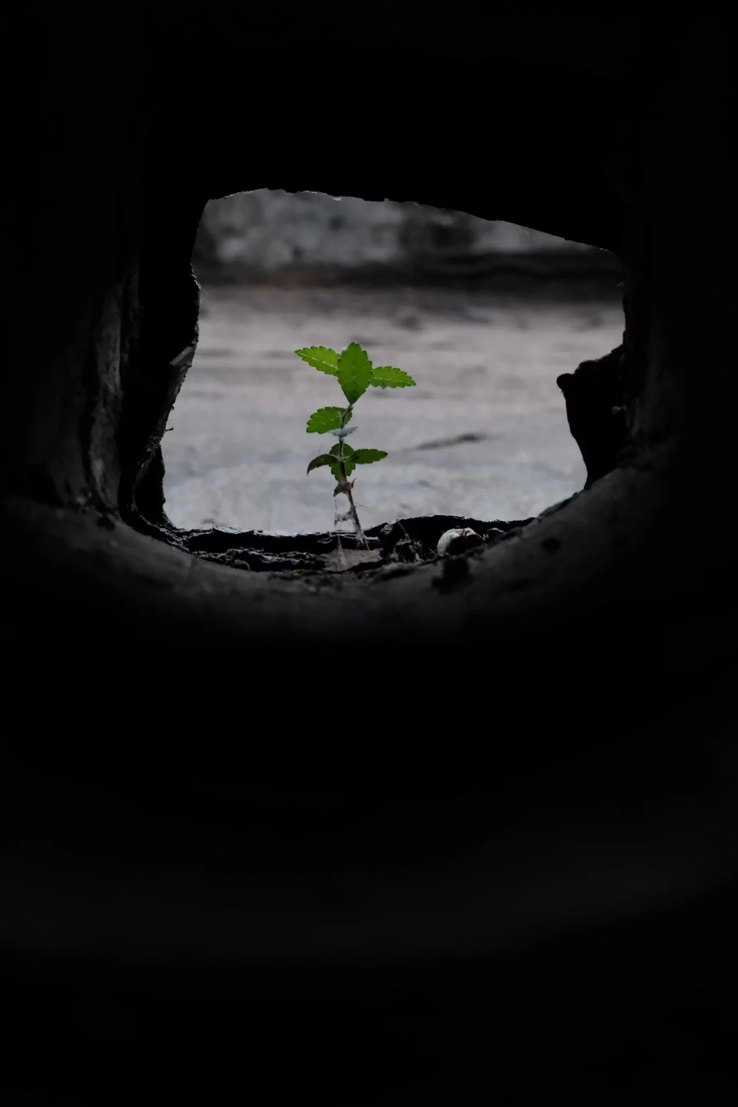 Why it Matters - Break Through