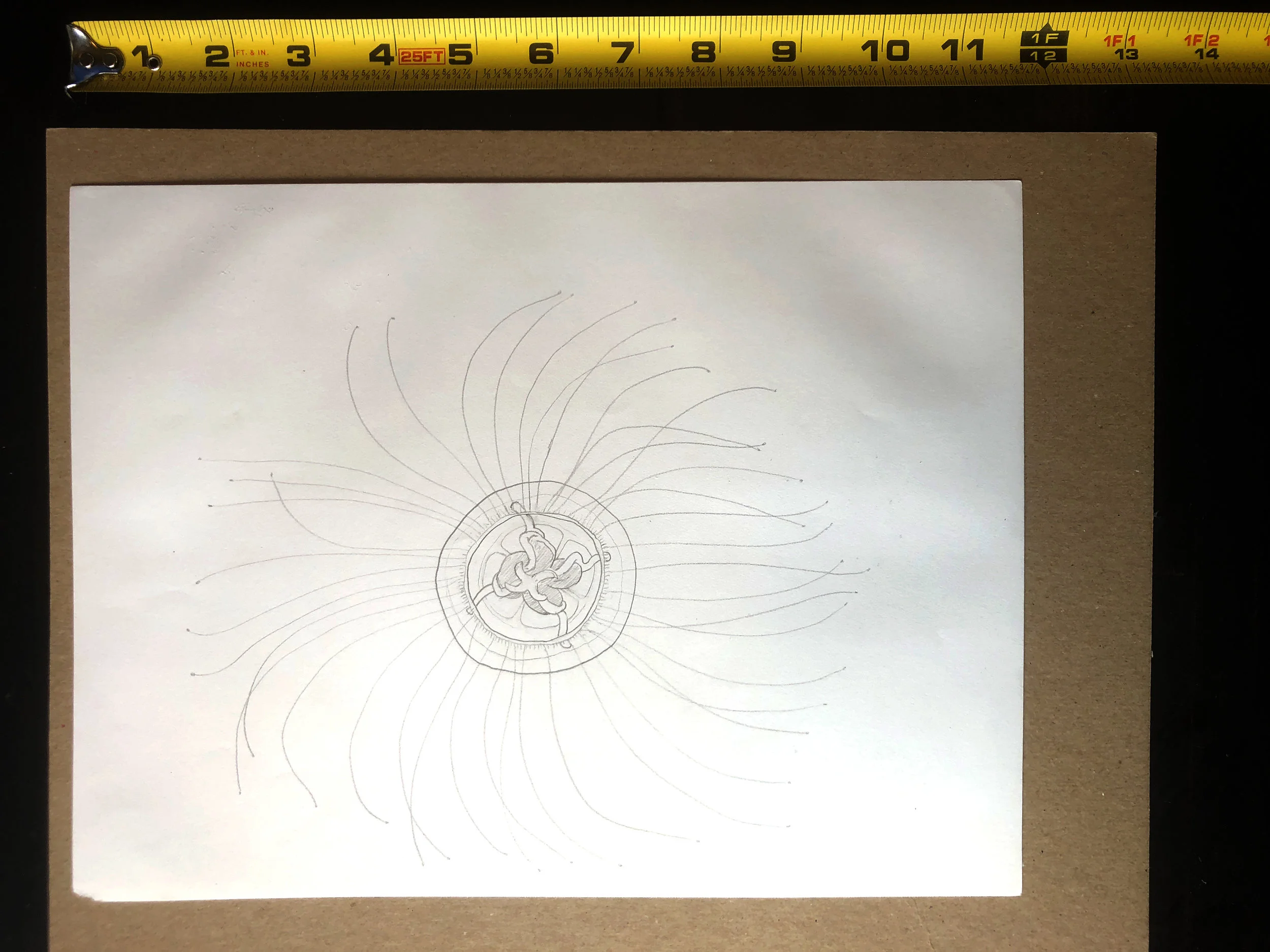 Medusa from Below (BxW)