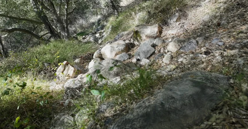 web_Creekbed_261003_1404.jpg