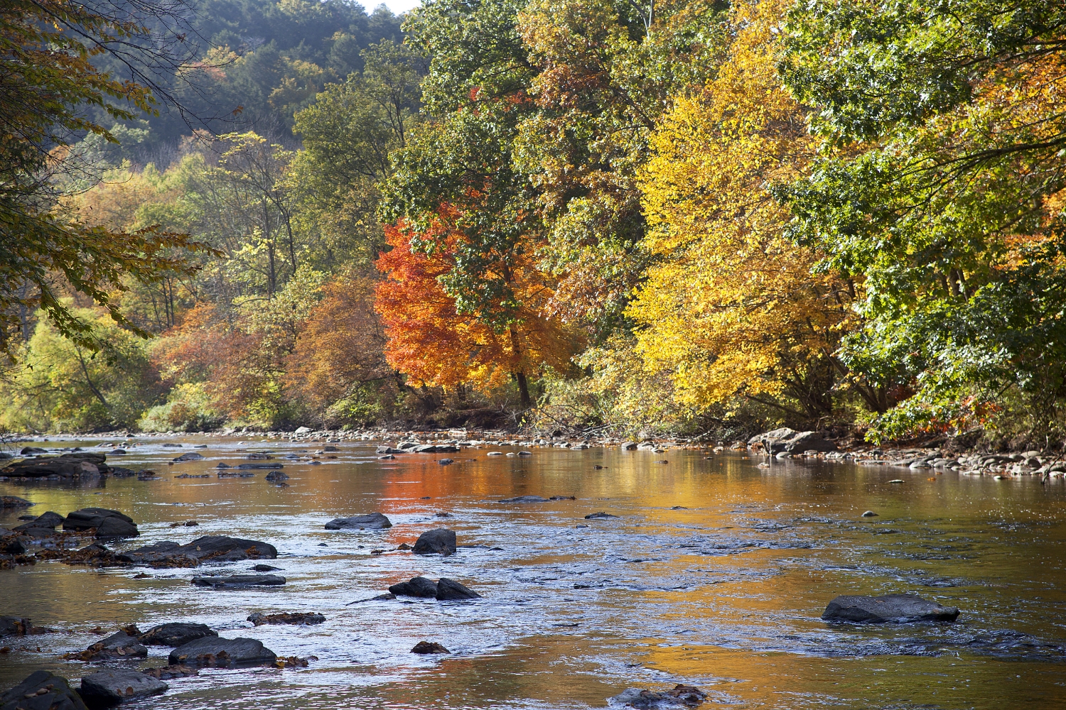 Shepaug River.jpg