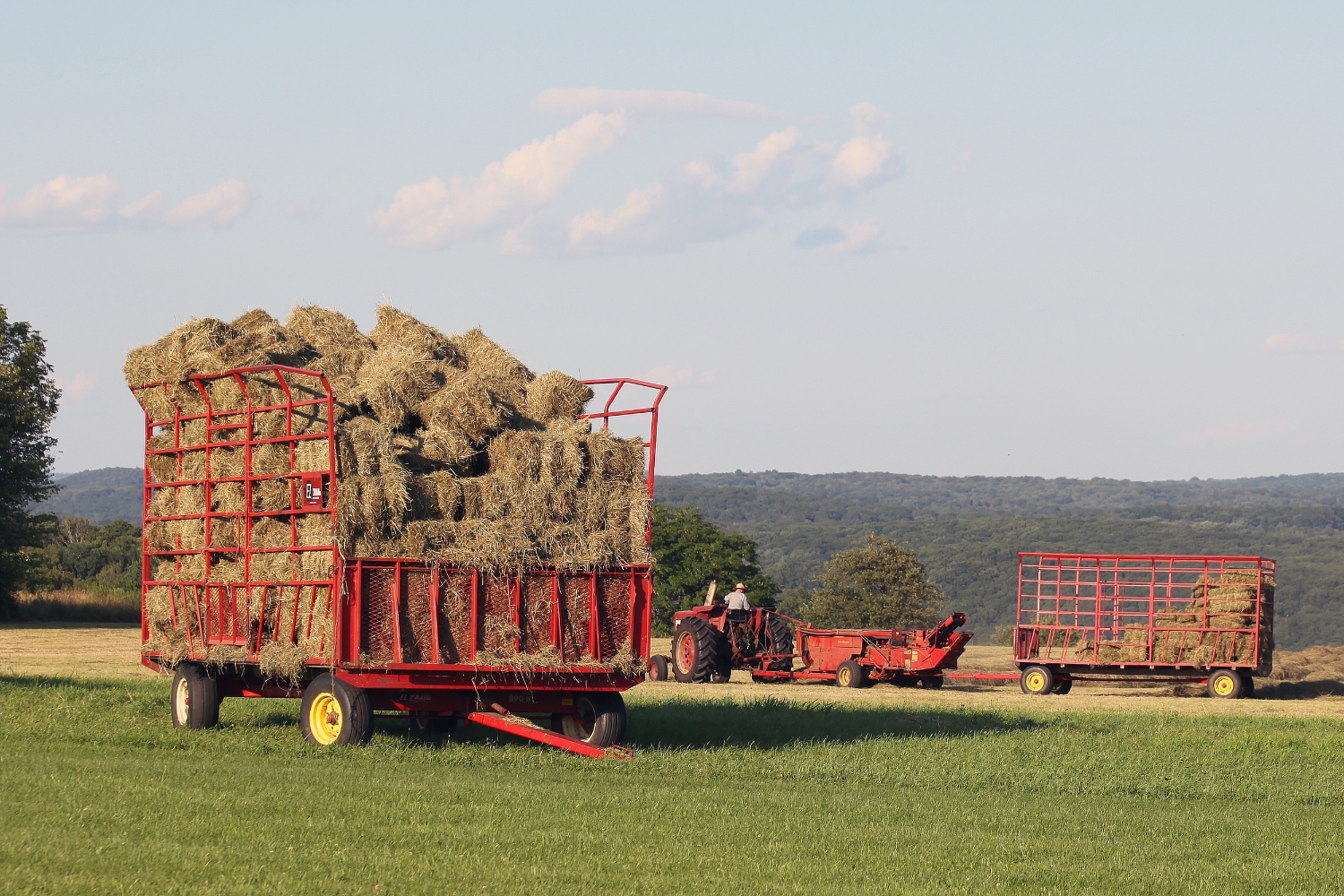 haying the field.jpg