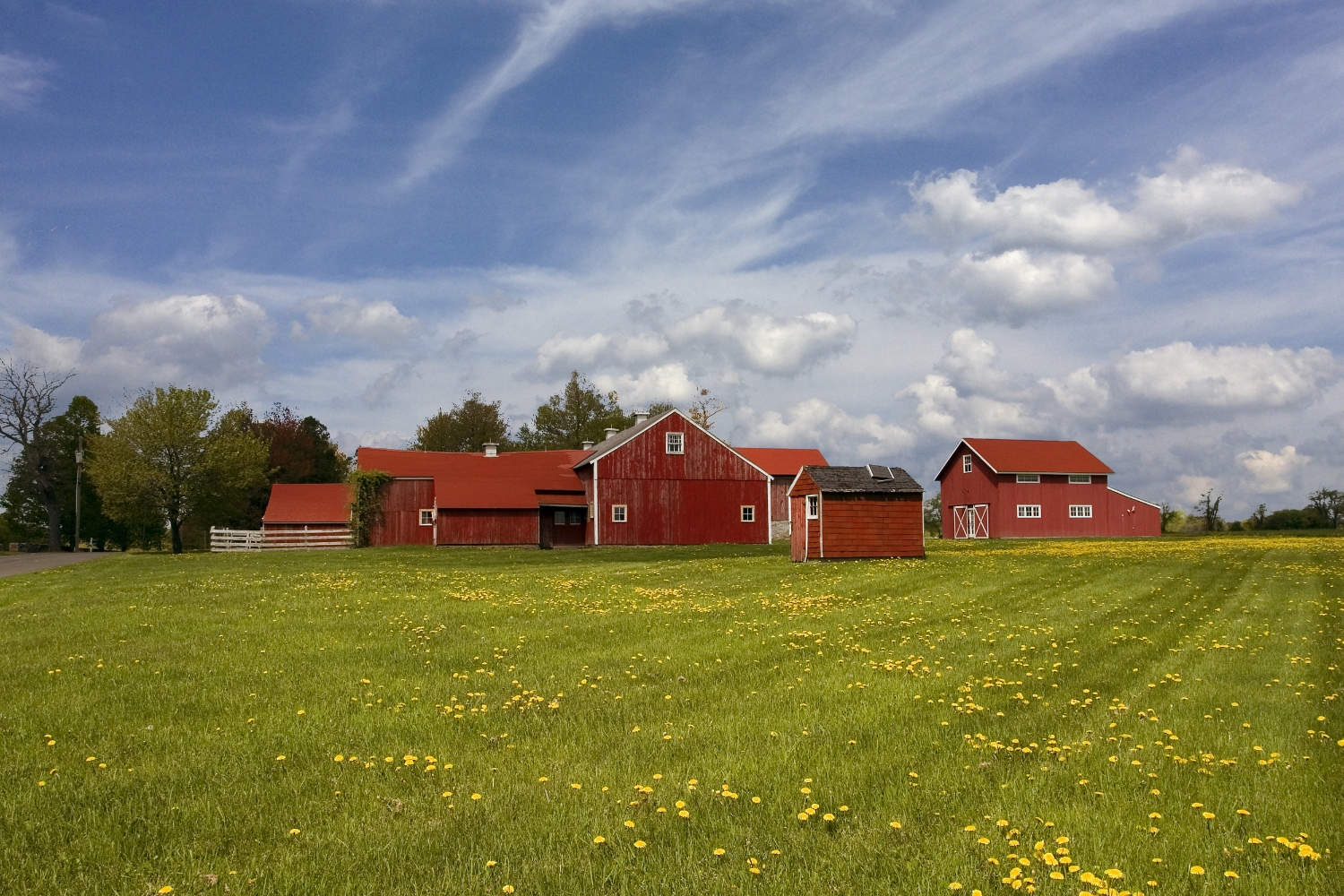 Top Pasture Barns2.jpg