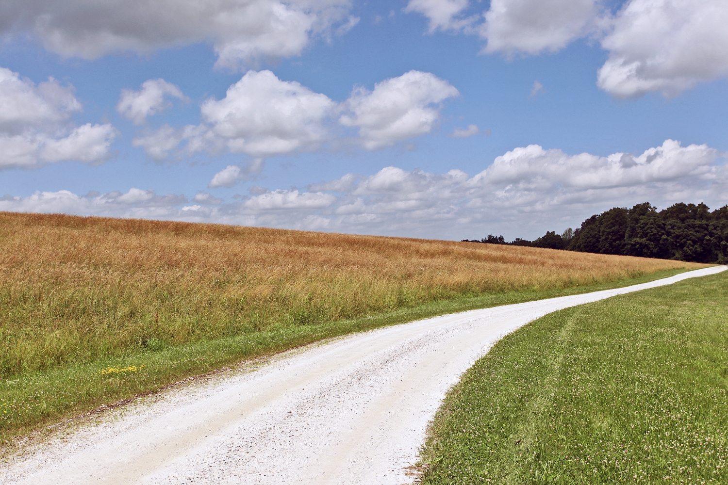 Upland Pasture 18x12.jpg