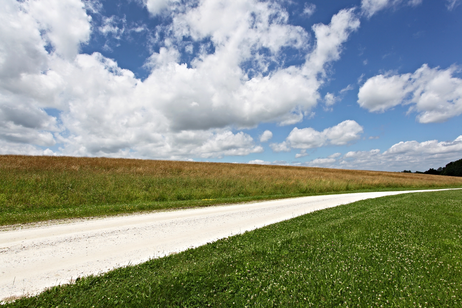 Upland Pasture6.jpg