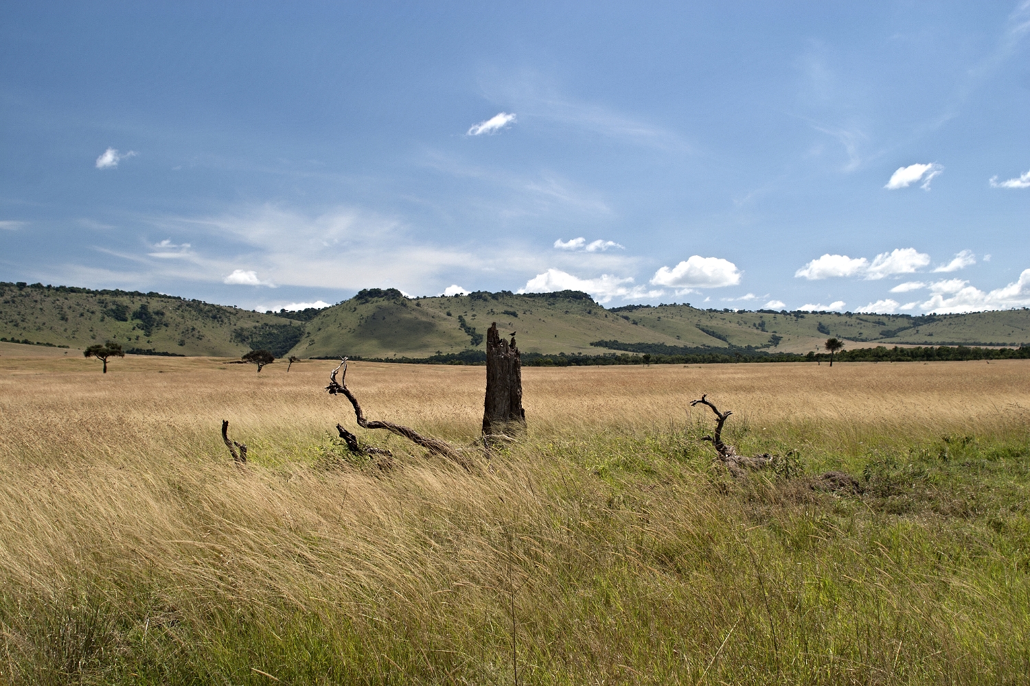 great rift valley.jpg