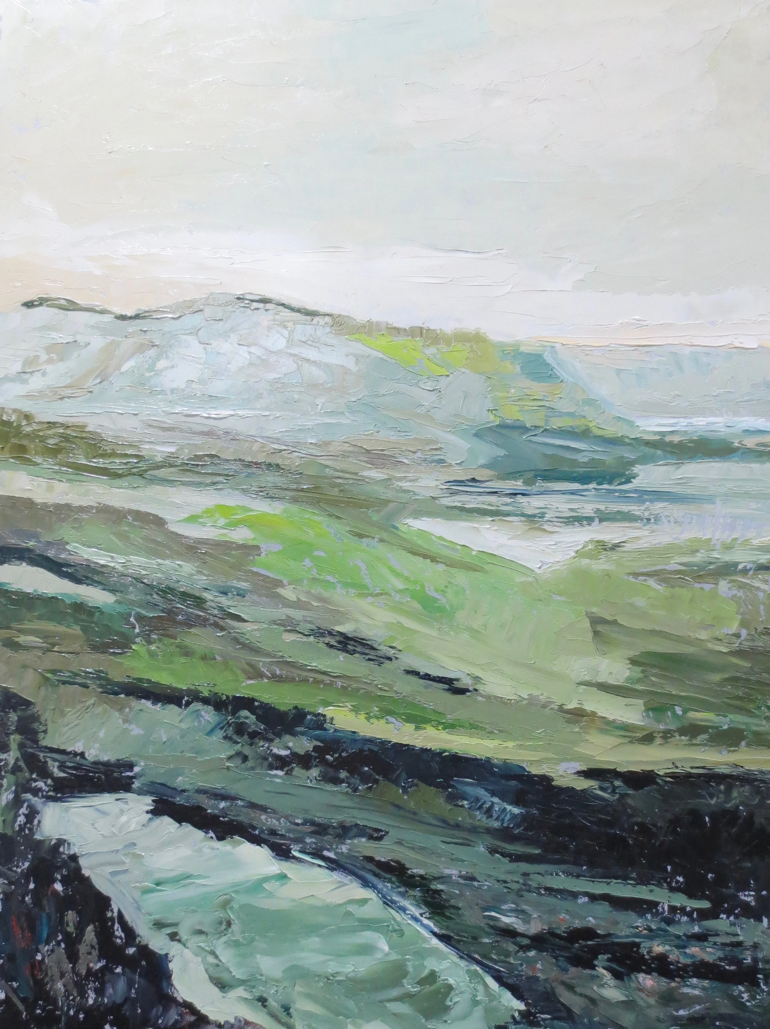 Pt. Reyes Study in Greens