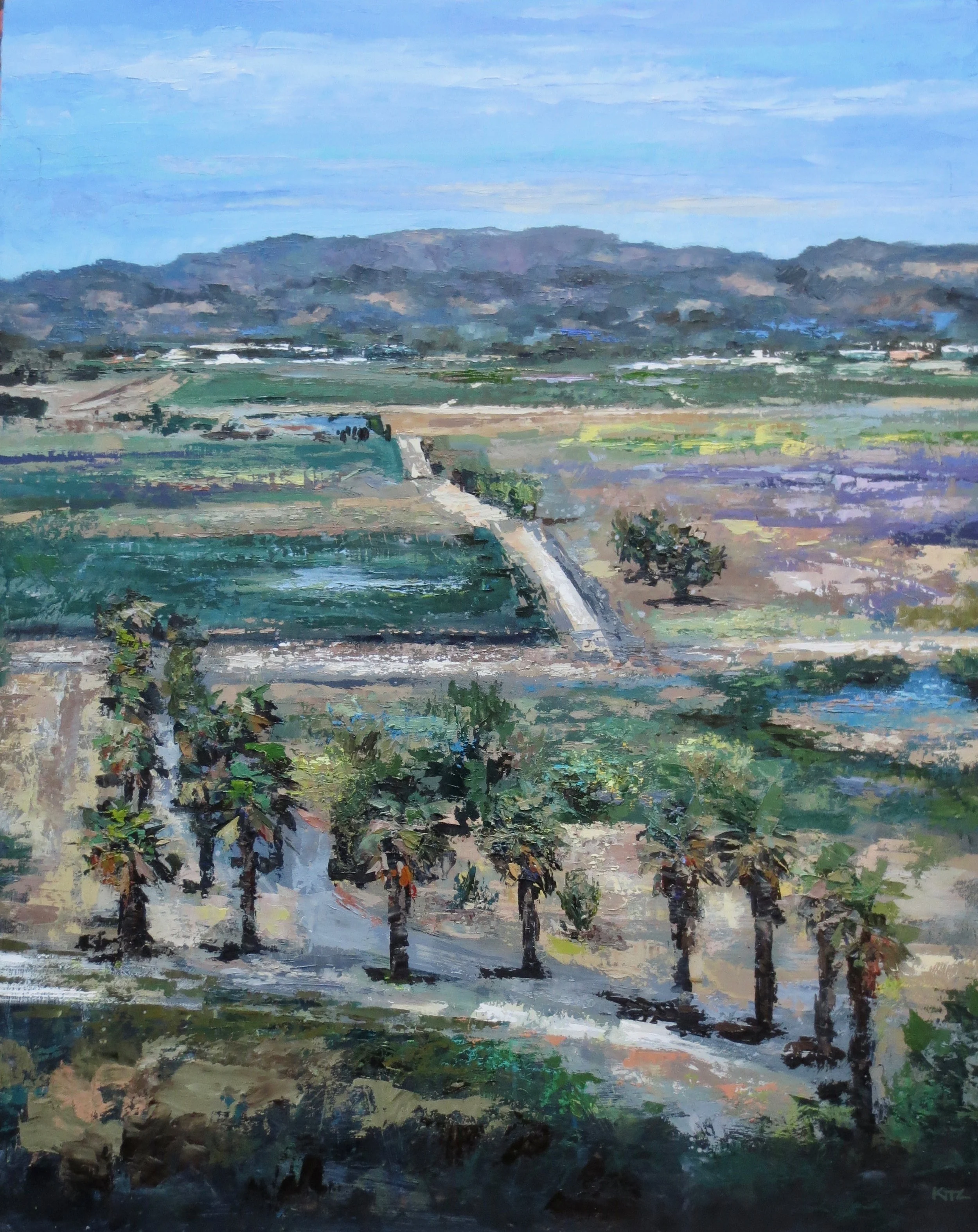 Aerial Paintings — kim ford kitz