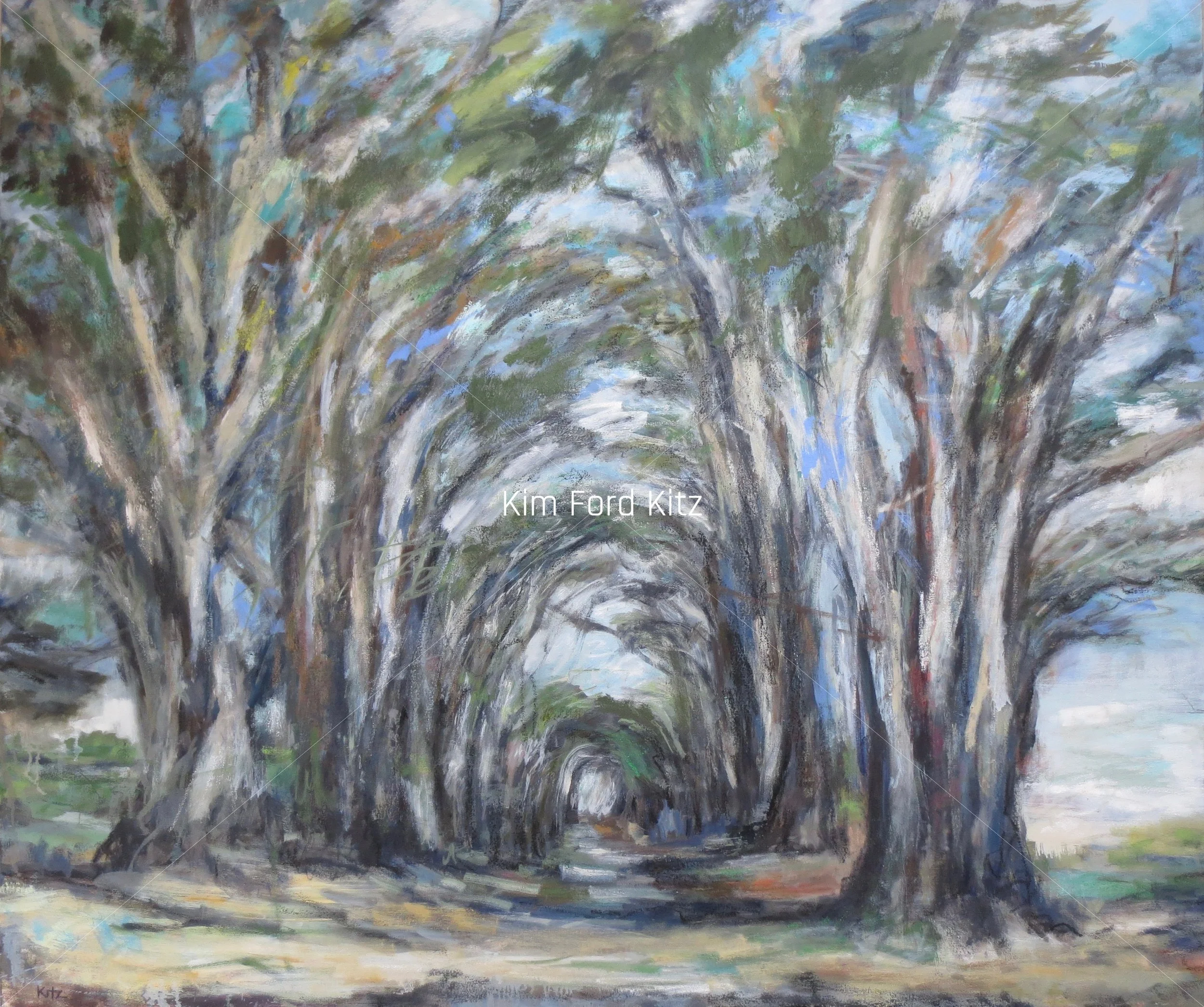 Tree Tunnel copy.jpg