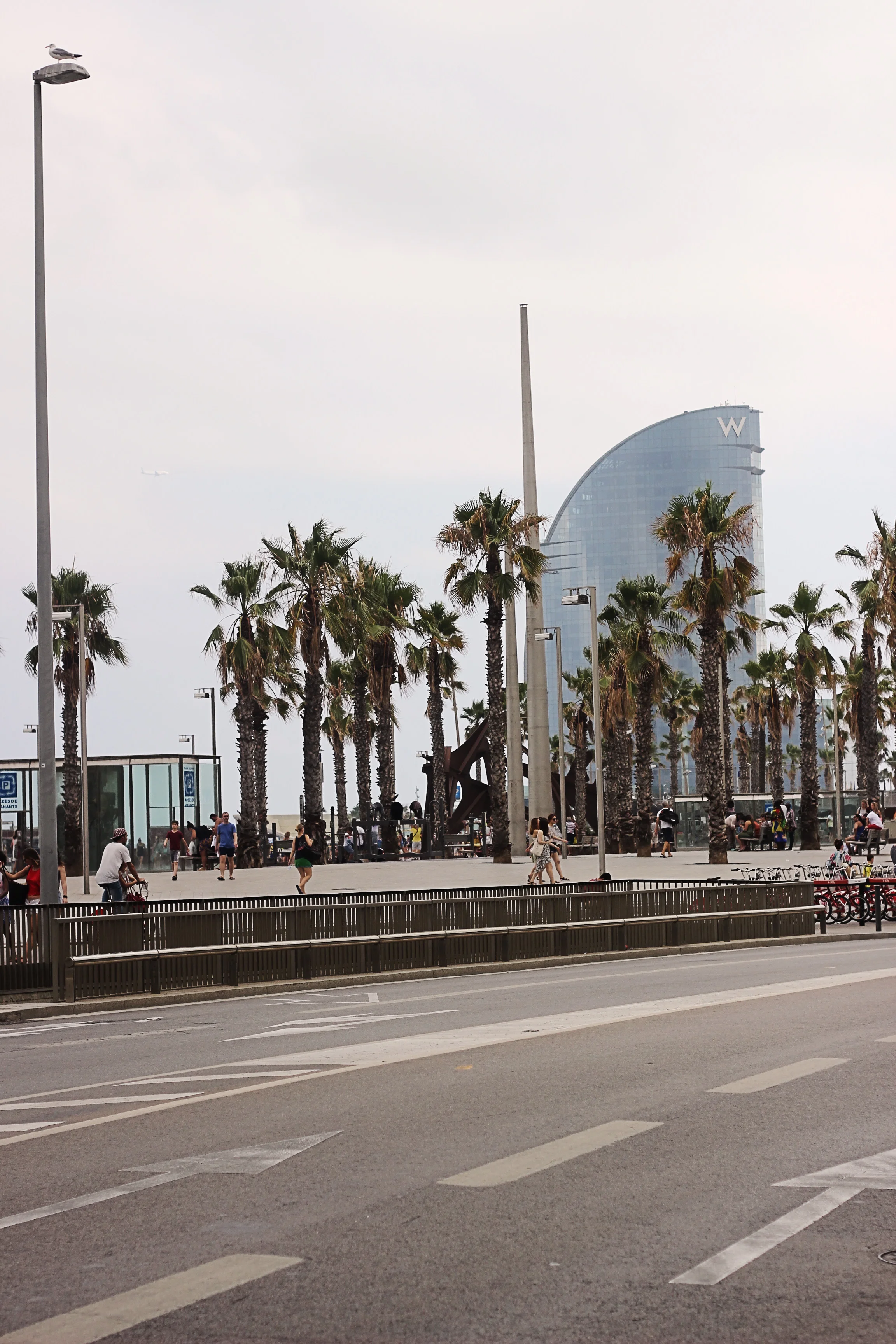 IMG_0185 copy.jpg