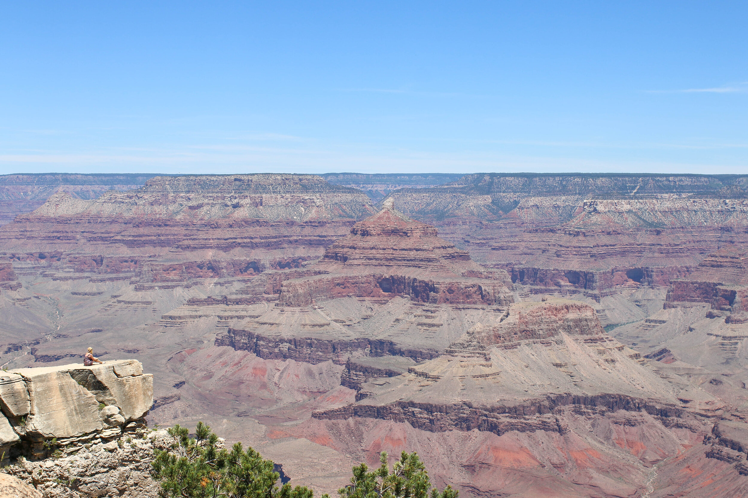 IMG_8782.jpg