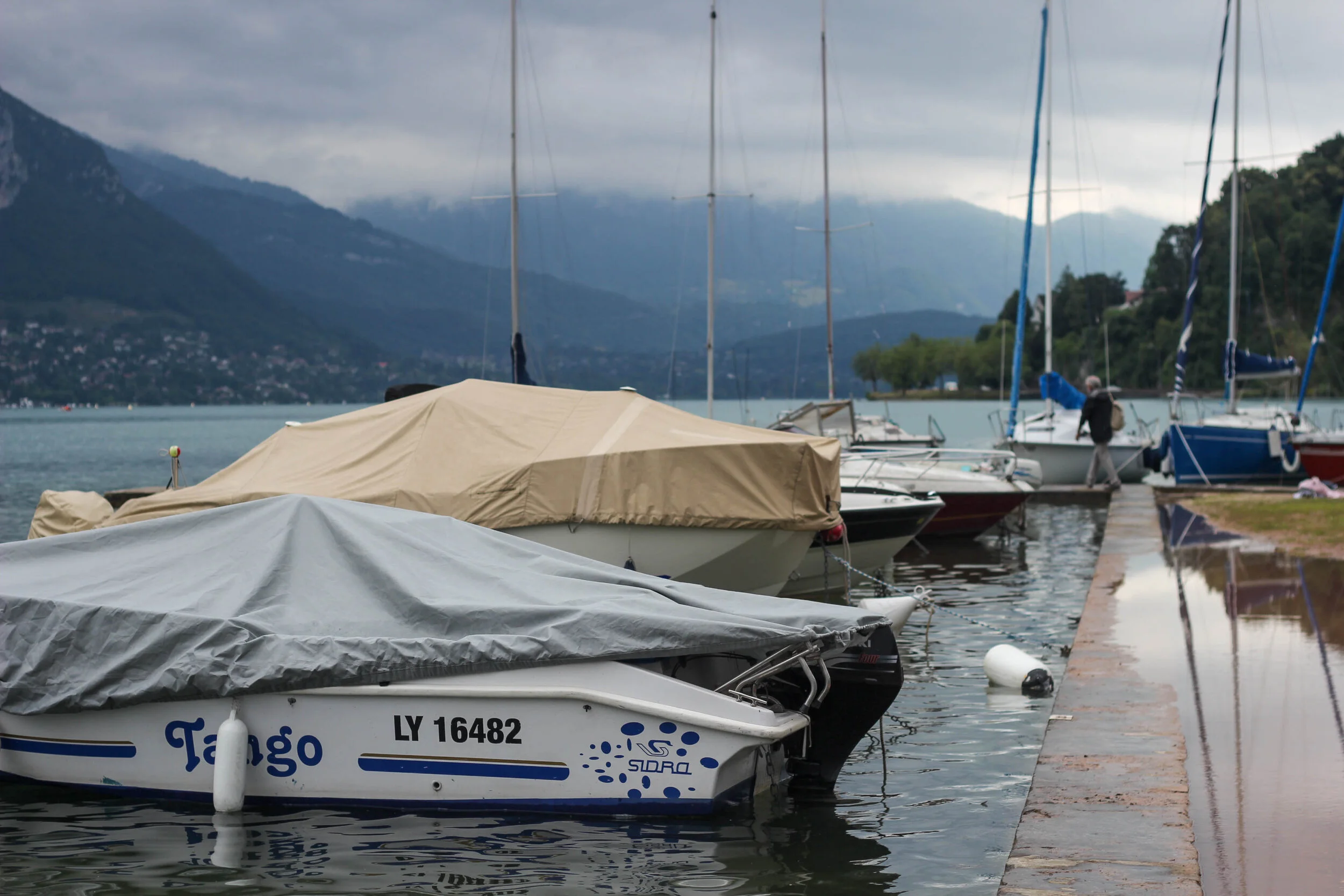 IMG_8956.jpg